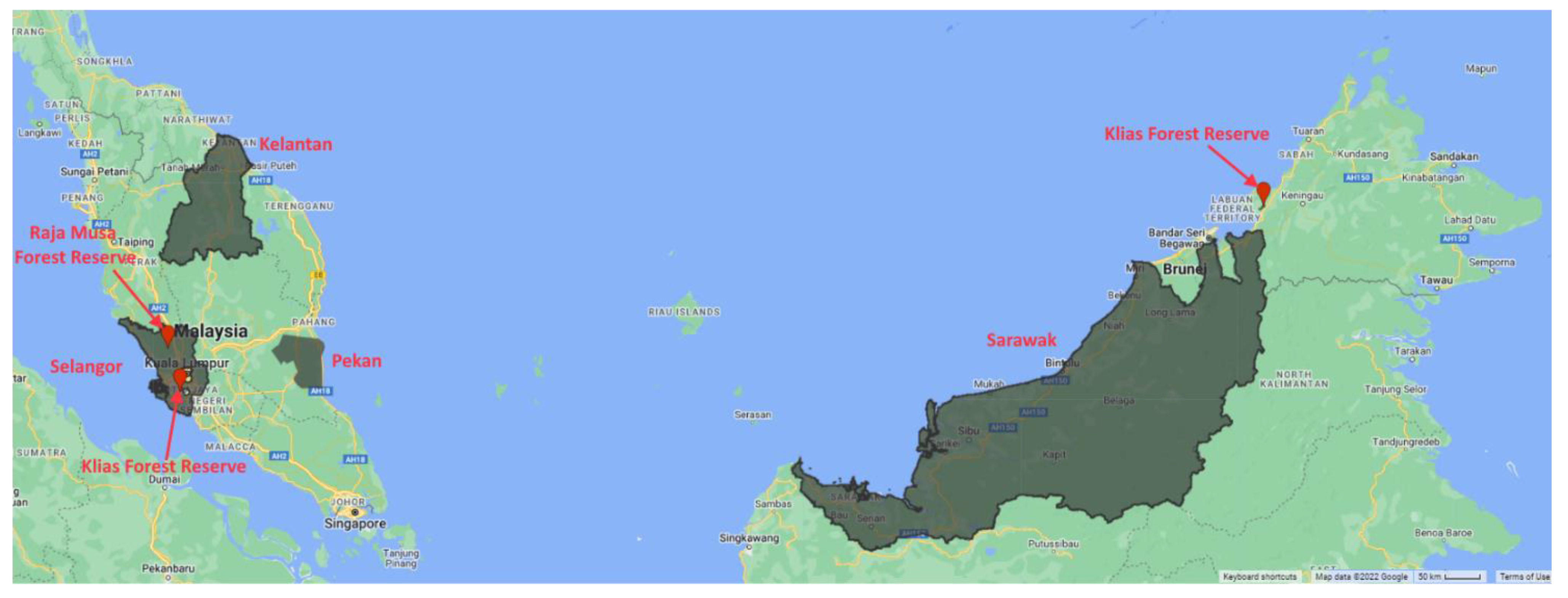 Forests 13 01405 g001