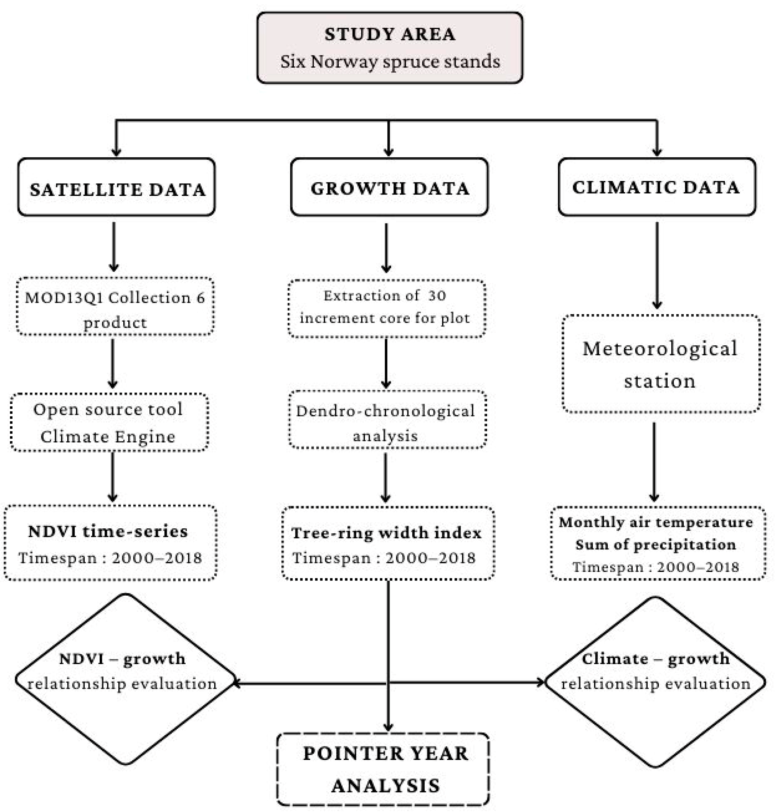 Forests 13 01417 g003