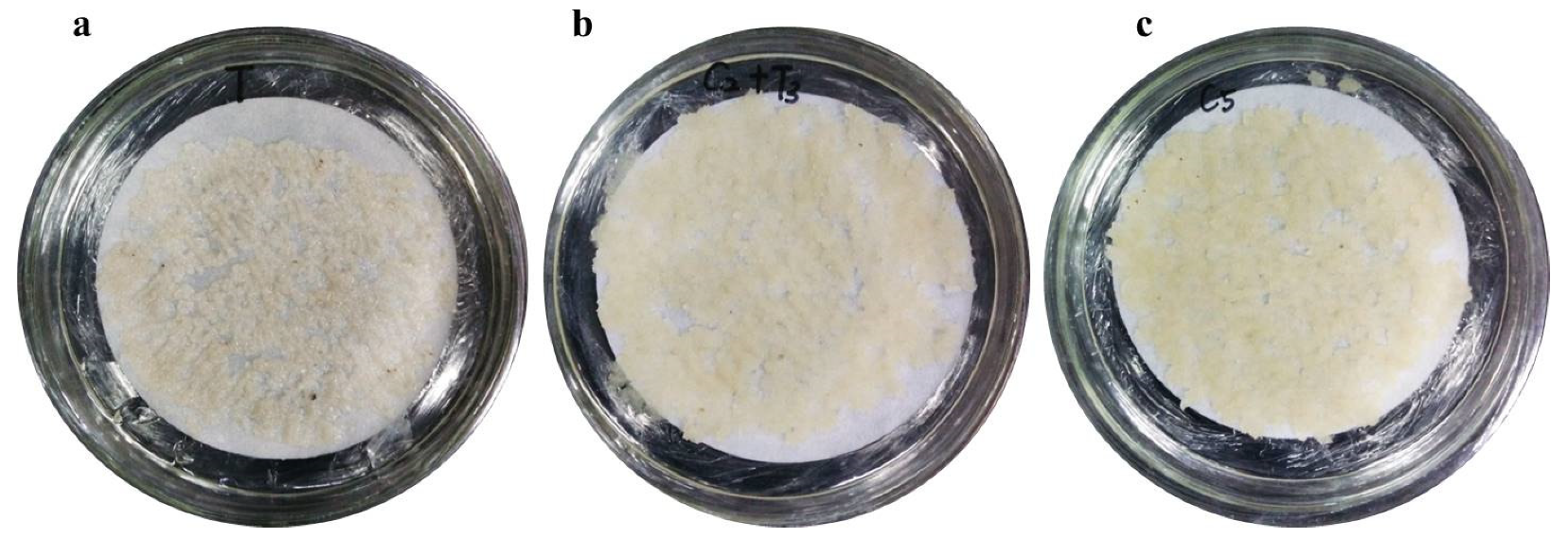 Forests 13 01436 g001