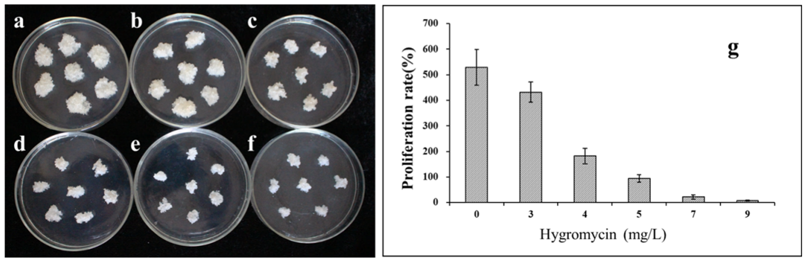 Forests 13 01436 g002