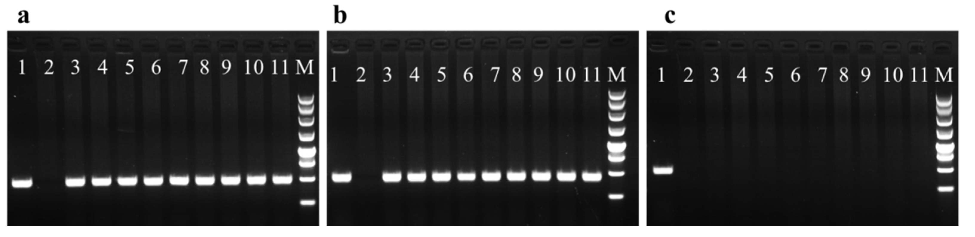 Forests 13 01436 g003