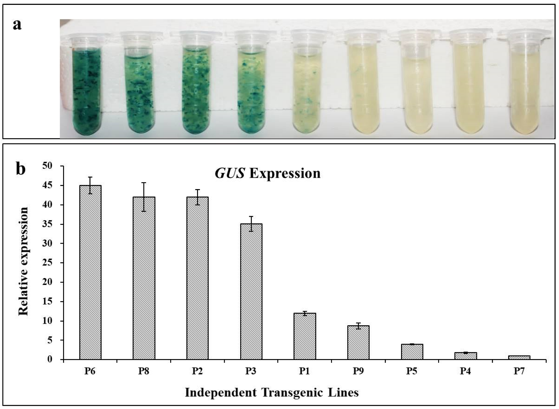 Forests 13 01436 g004