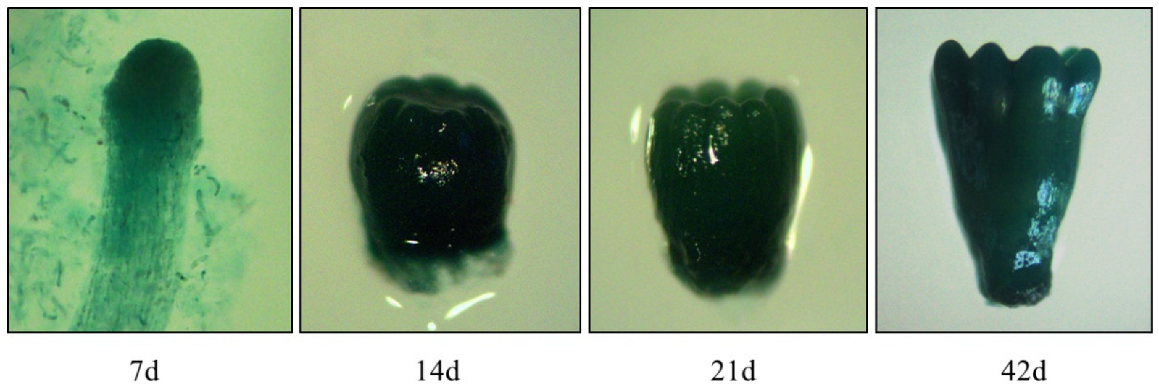 Forests 13 01436 g007