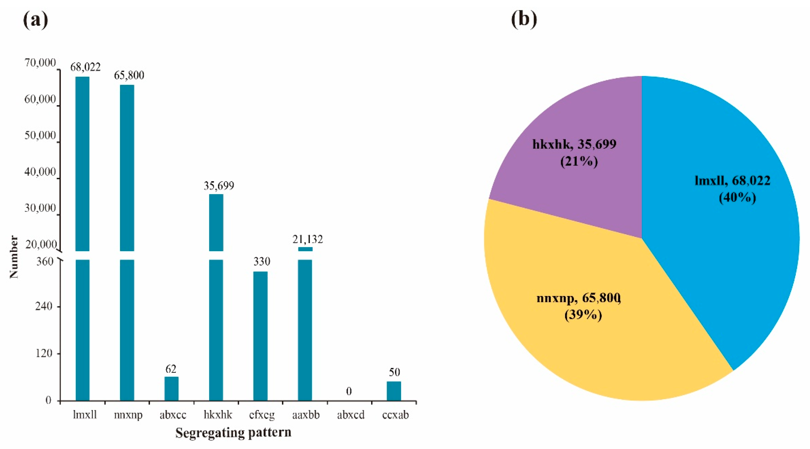 Forests 13 01479 g002
