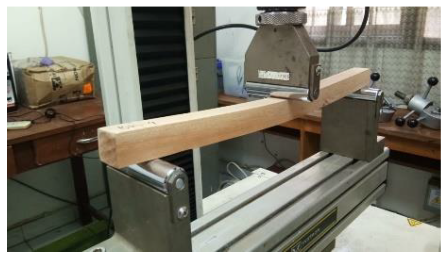 Forests 13 01480 g001