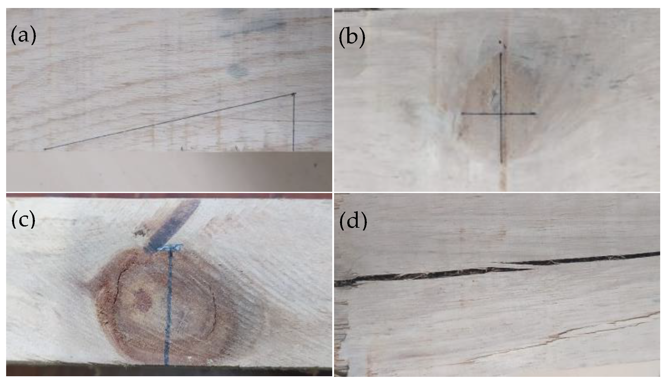 Forests 13 01480 g002
