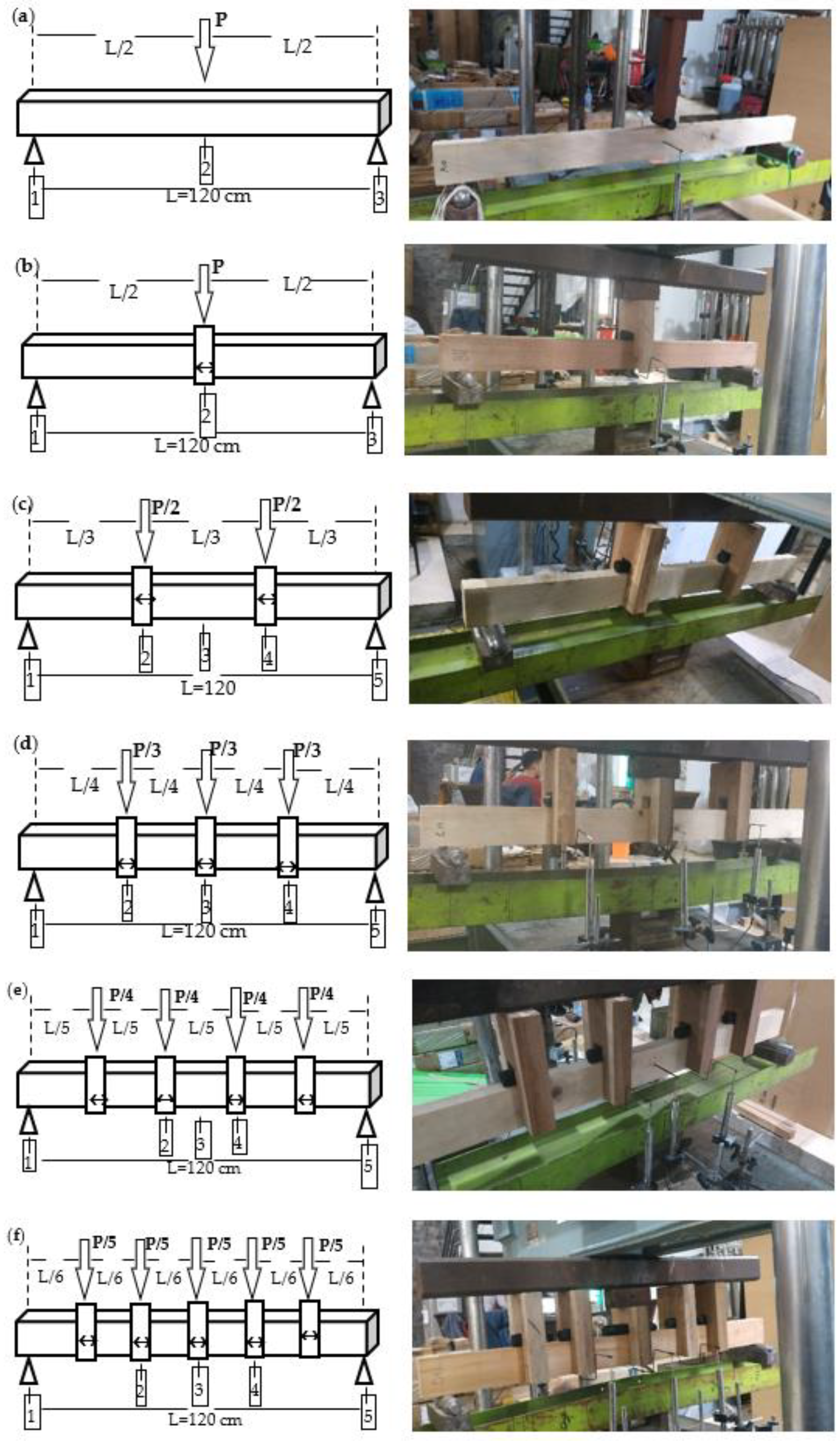 Forests 13 01480 g003