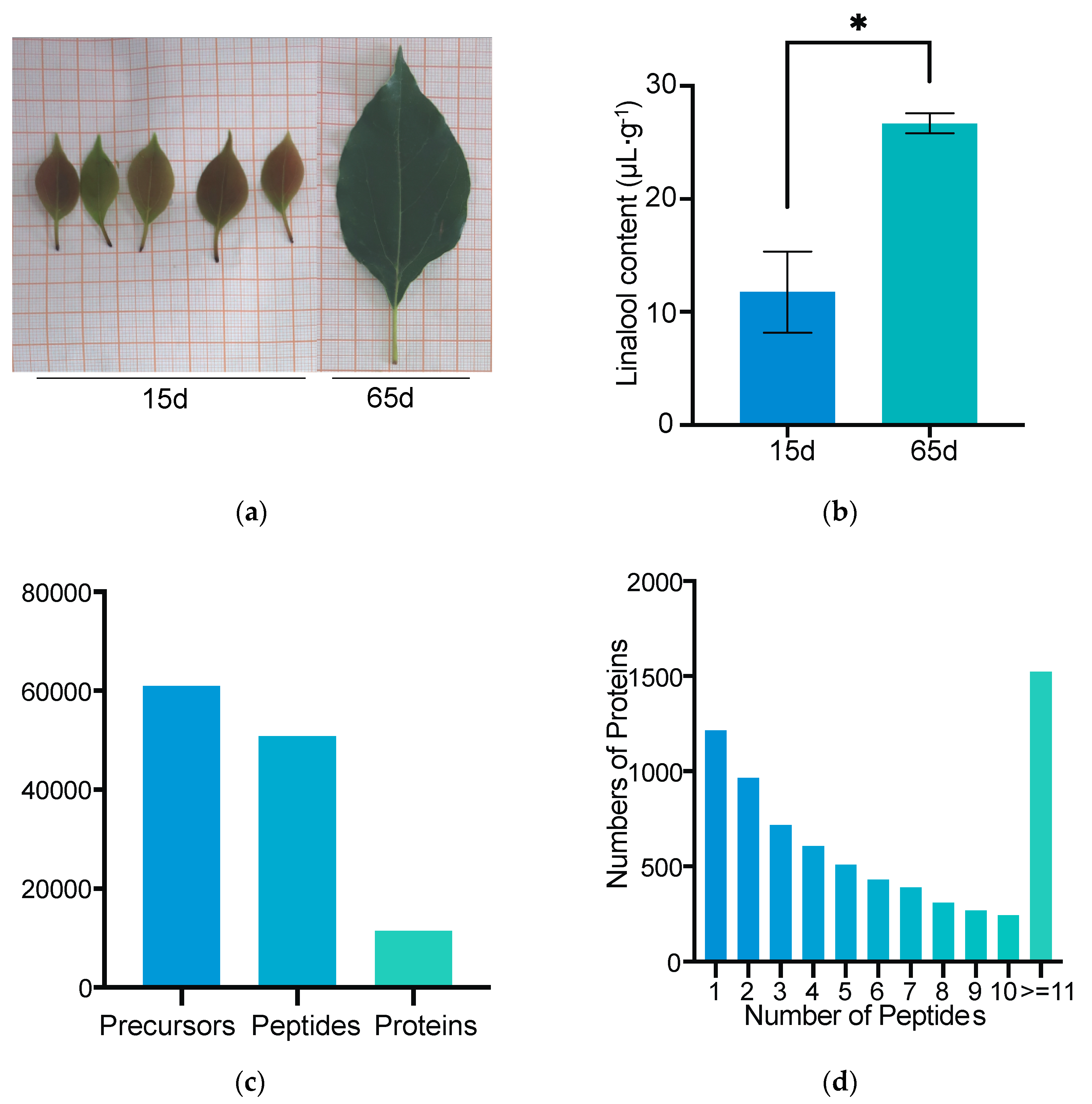 Forests 13 01487 g001