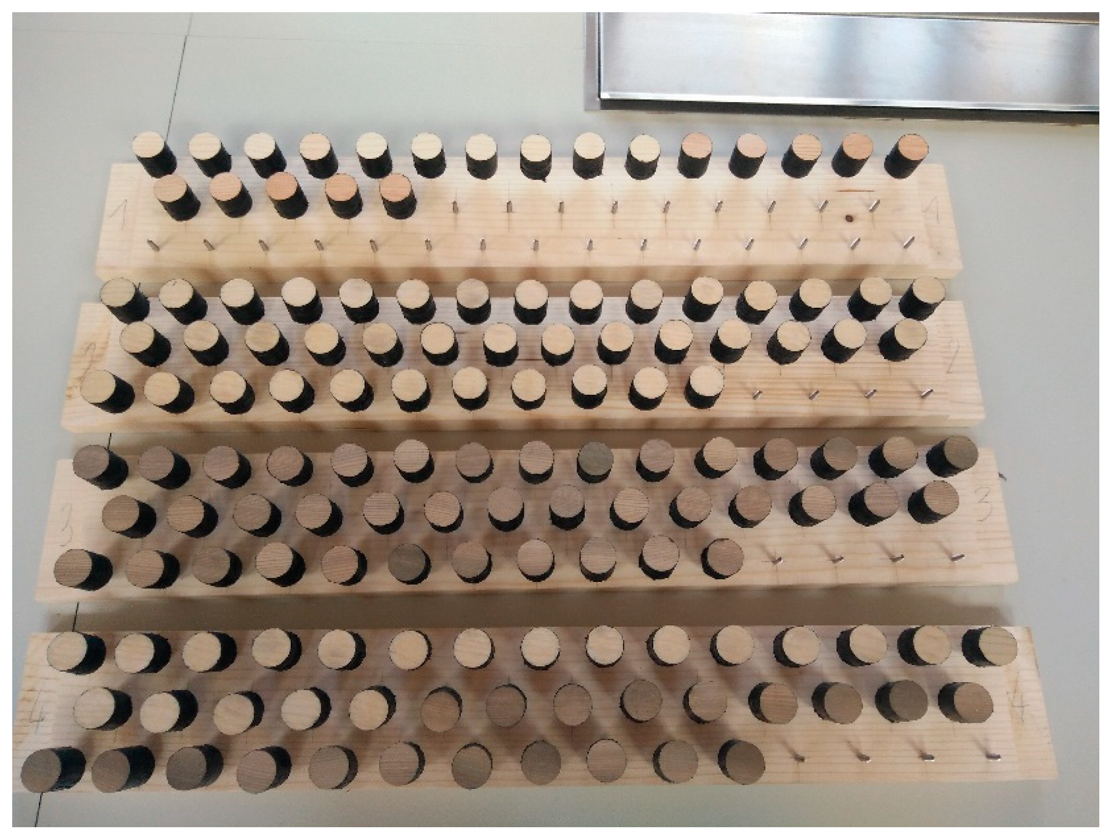 Forests 13 01497 g001