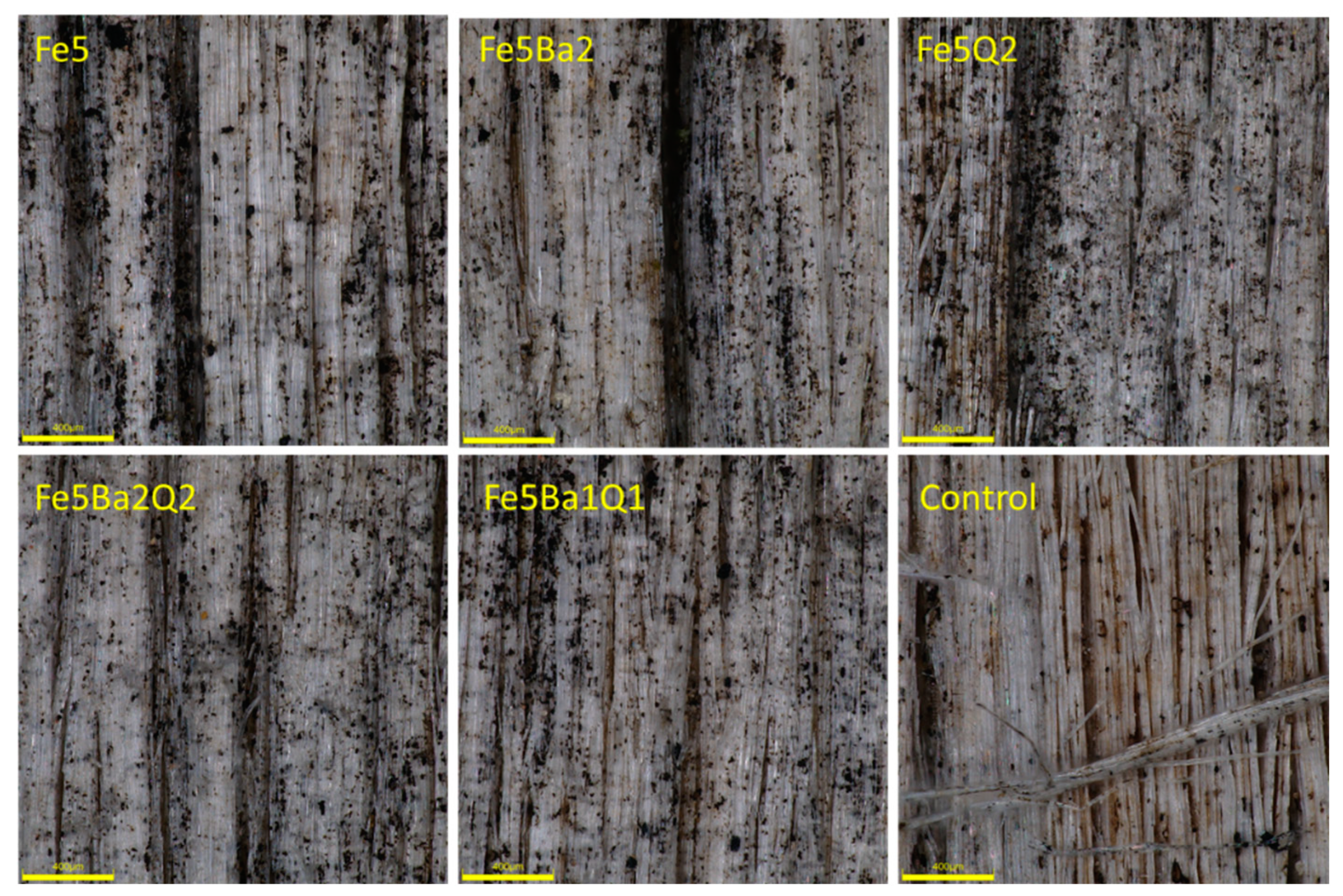 Forests 13 01497 g006