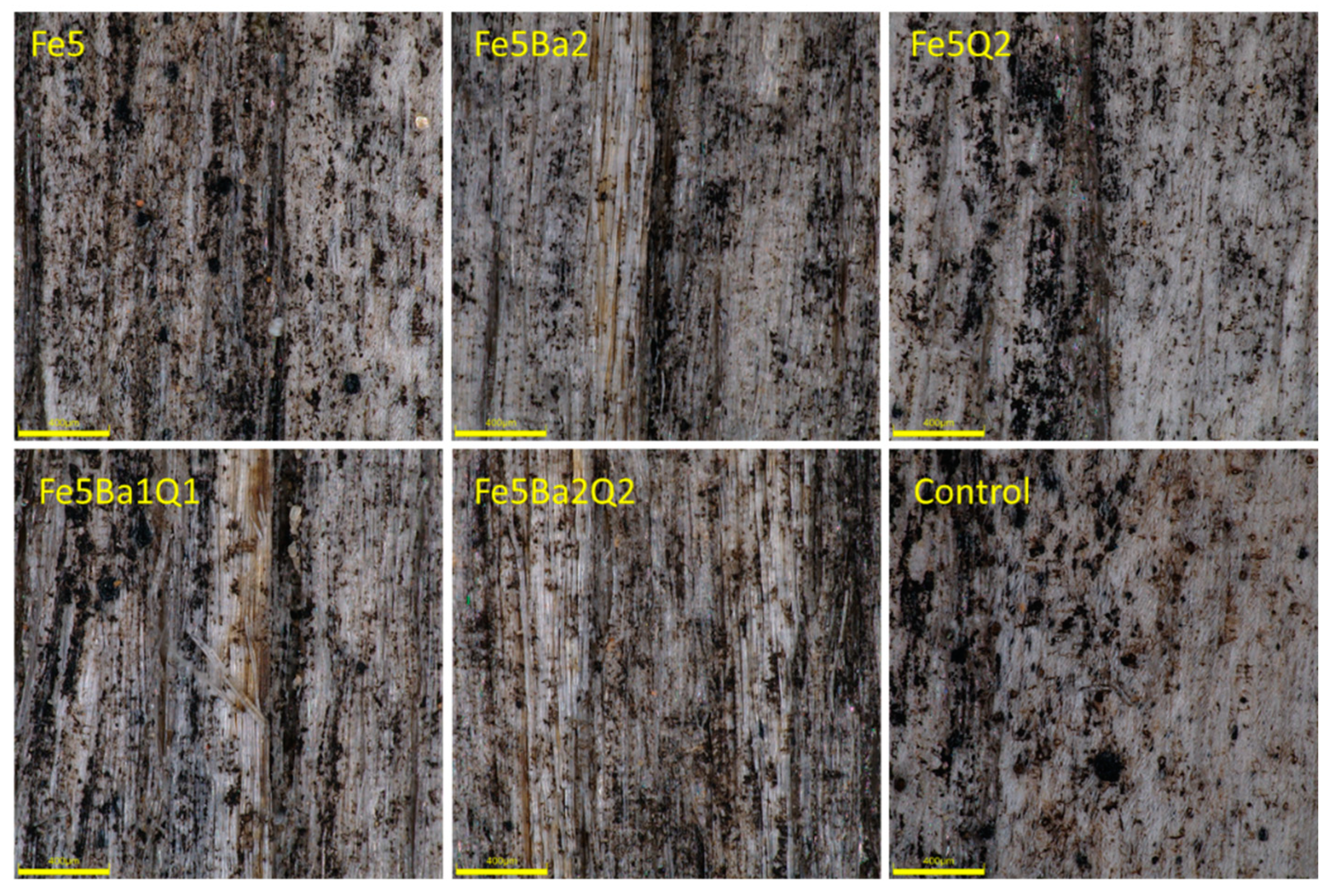 Forests 13 01497 g007