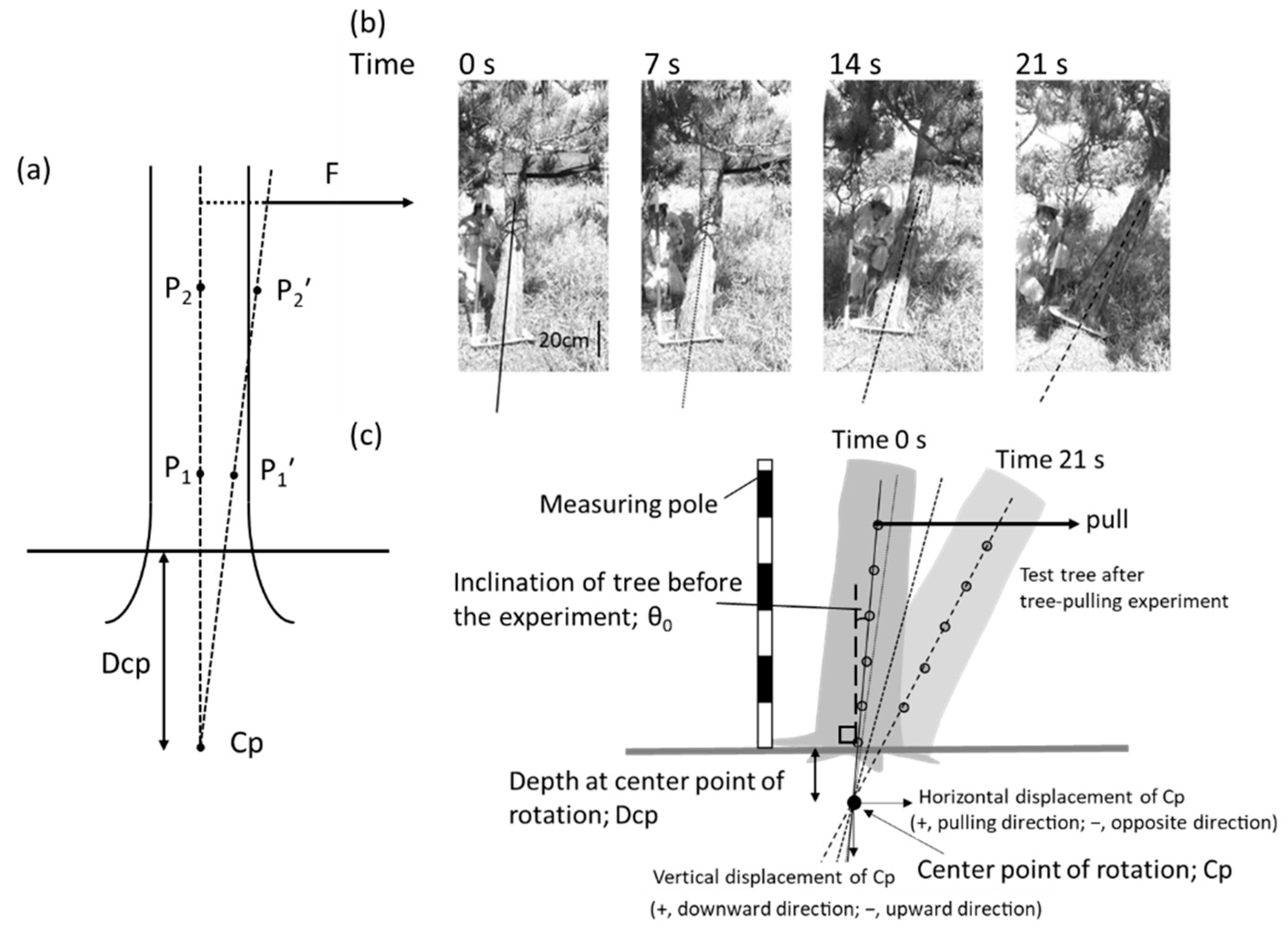 Forests 13 01506 g001