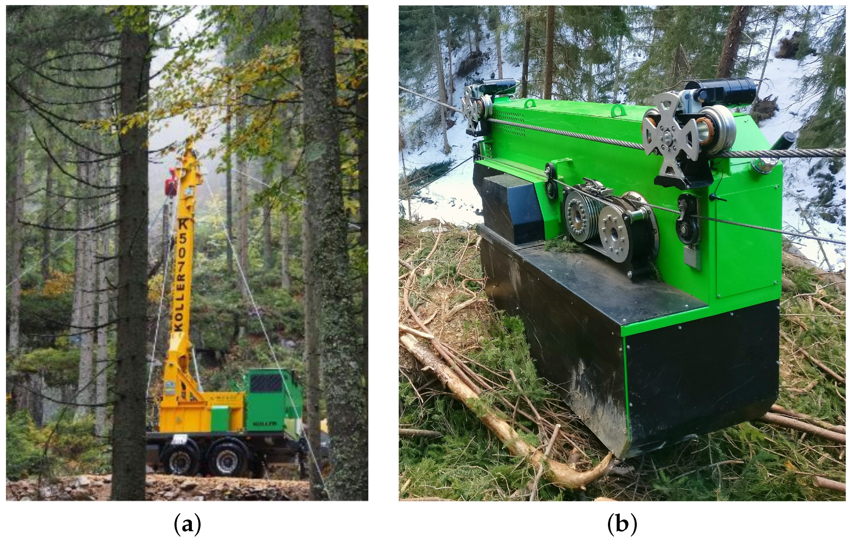 Forests 13 01520 g001
