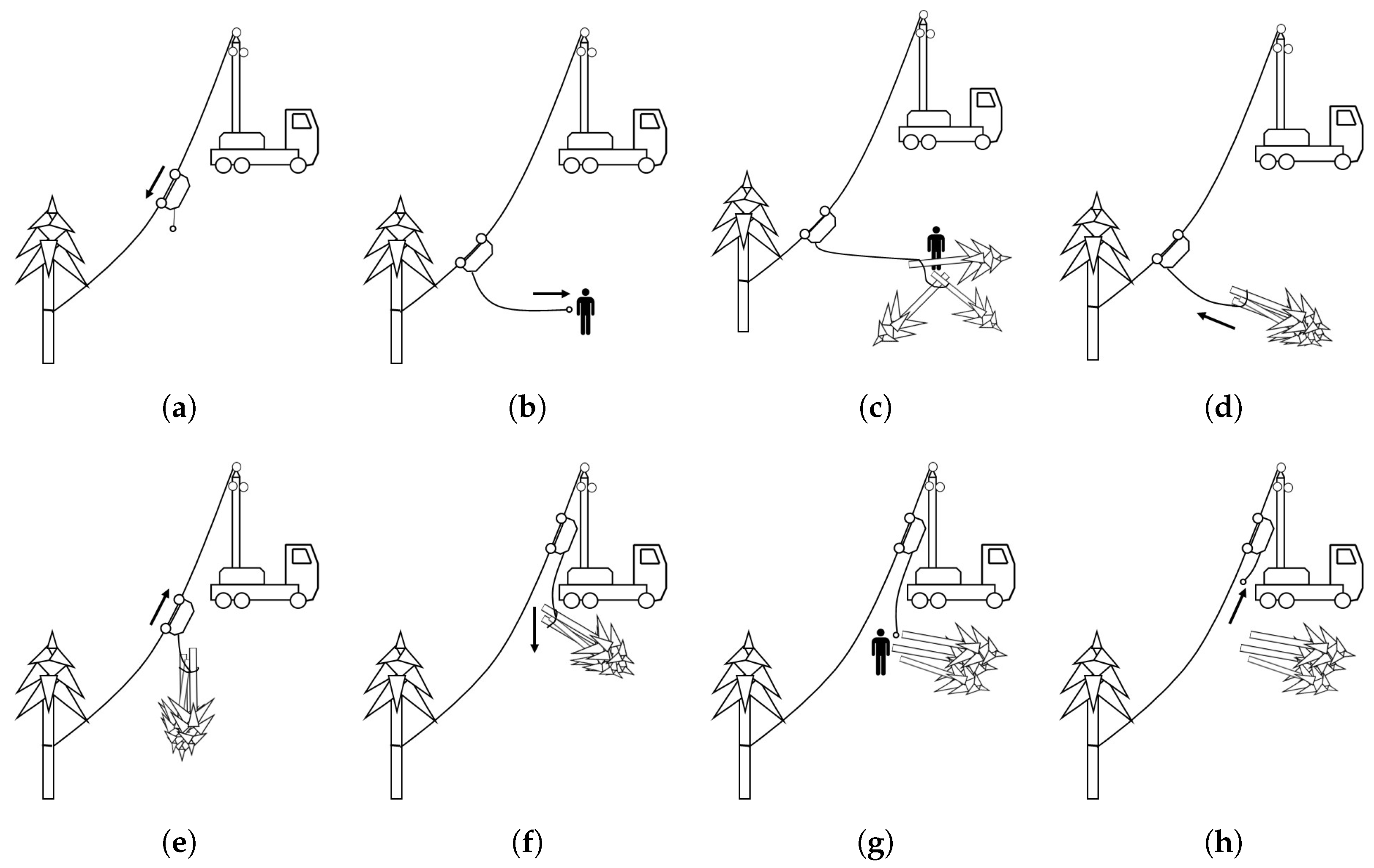 Forests 13 01520 g004