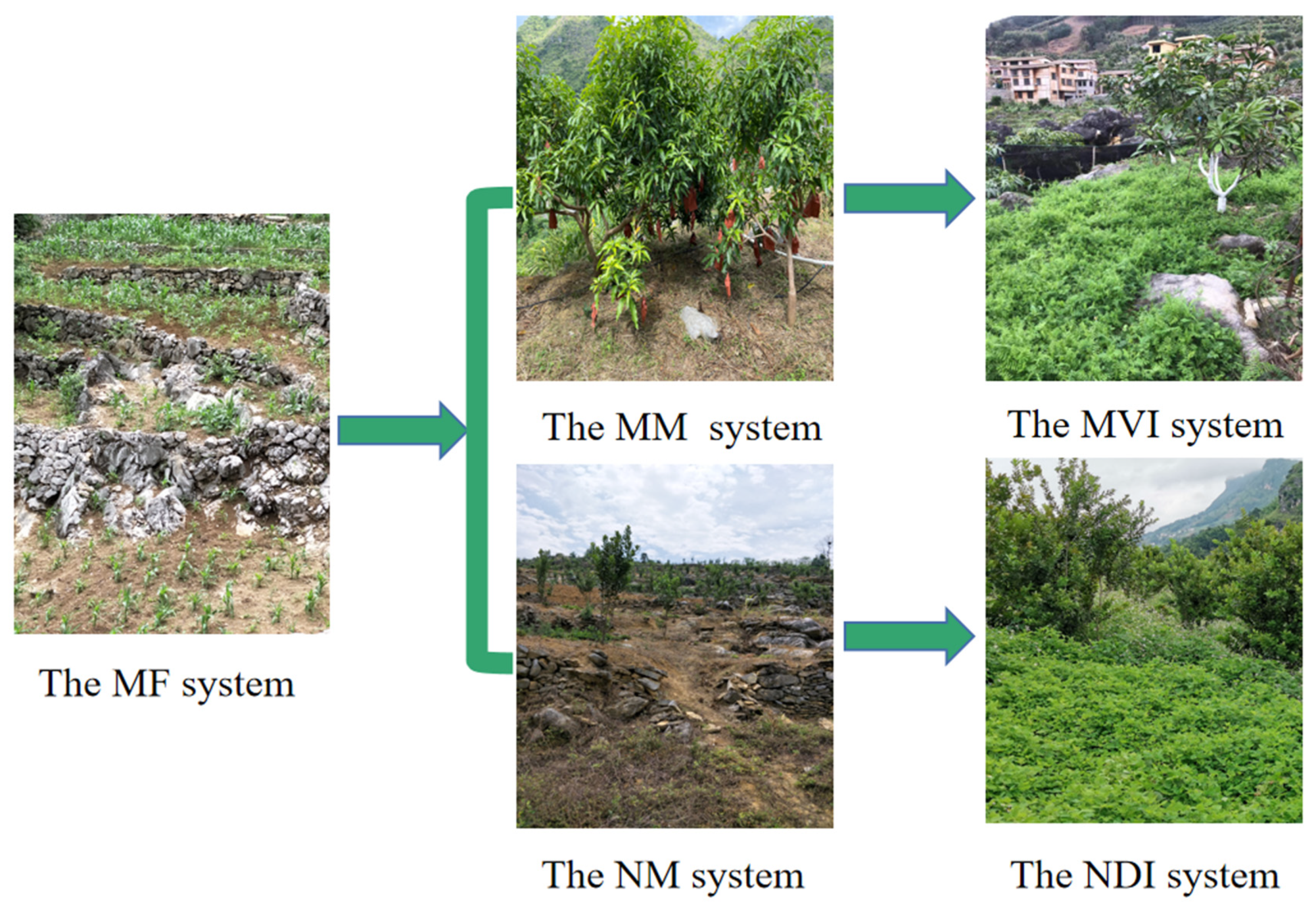 Forests 13 01536 g002