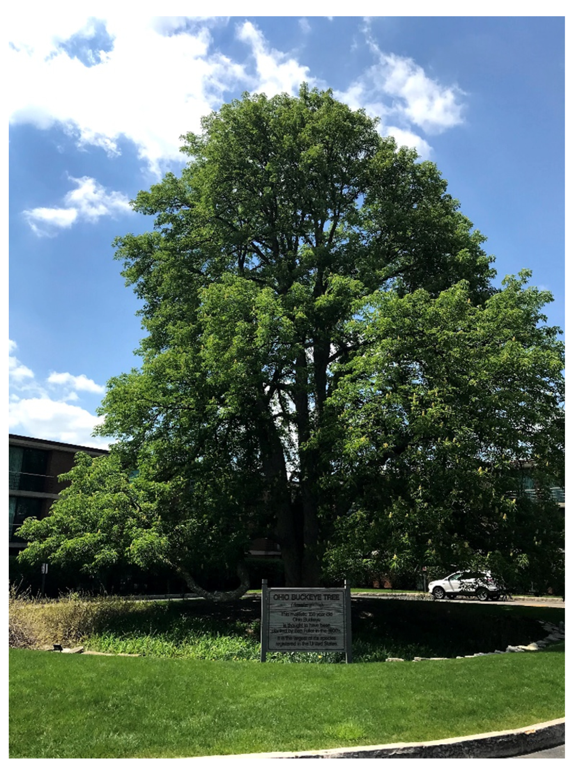 Forests 13 01537 g001 Forests 13 01537 g001