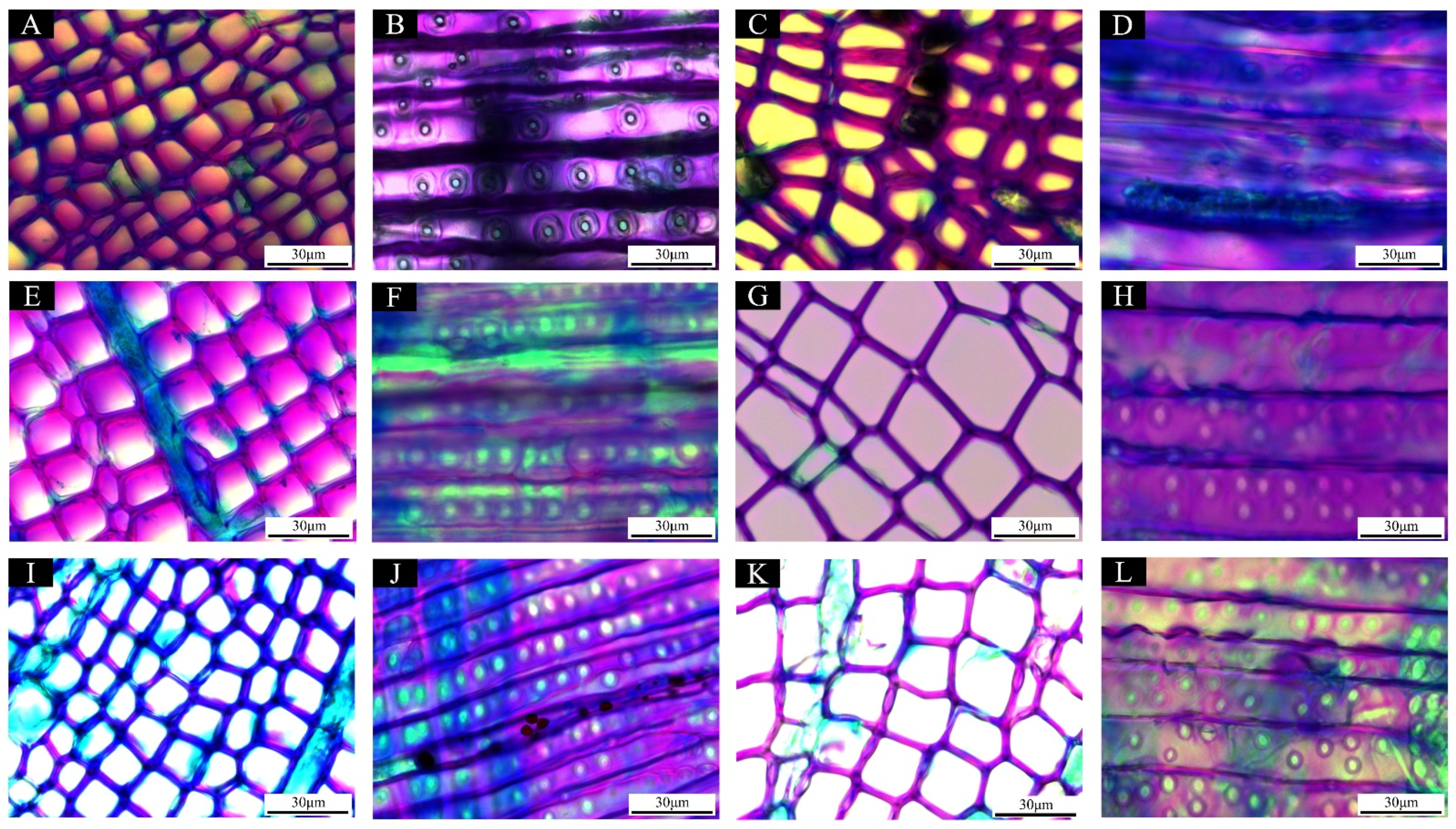 Forests 13 01564 g002