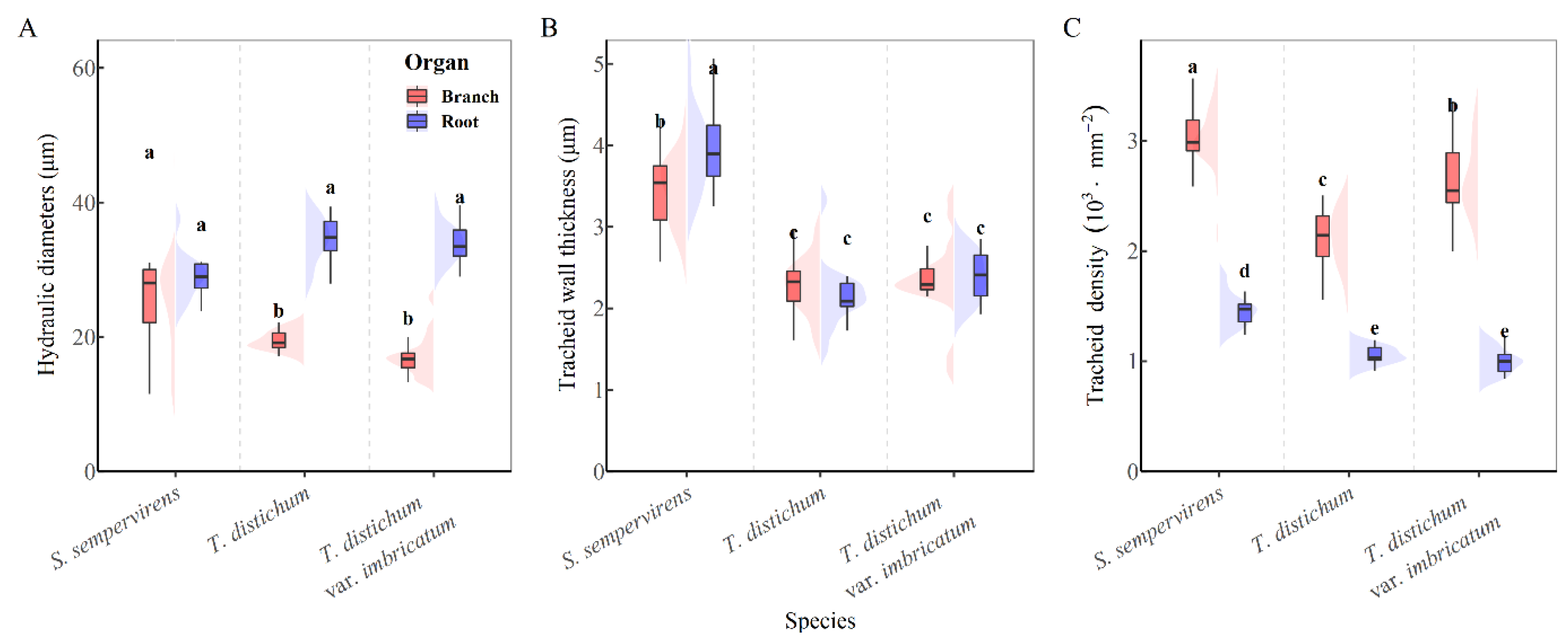 Forests 13 01564 g003