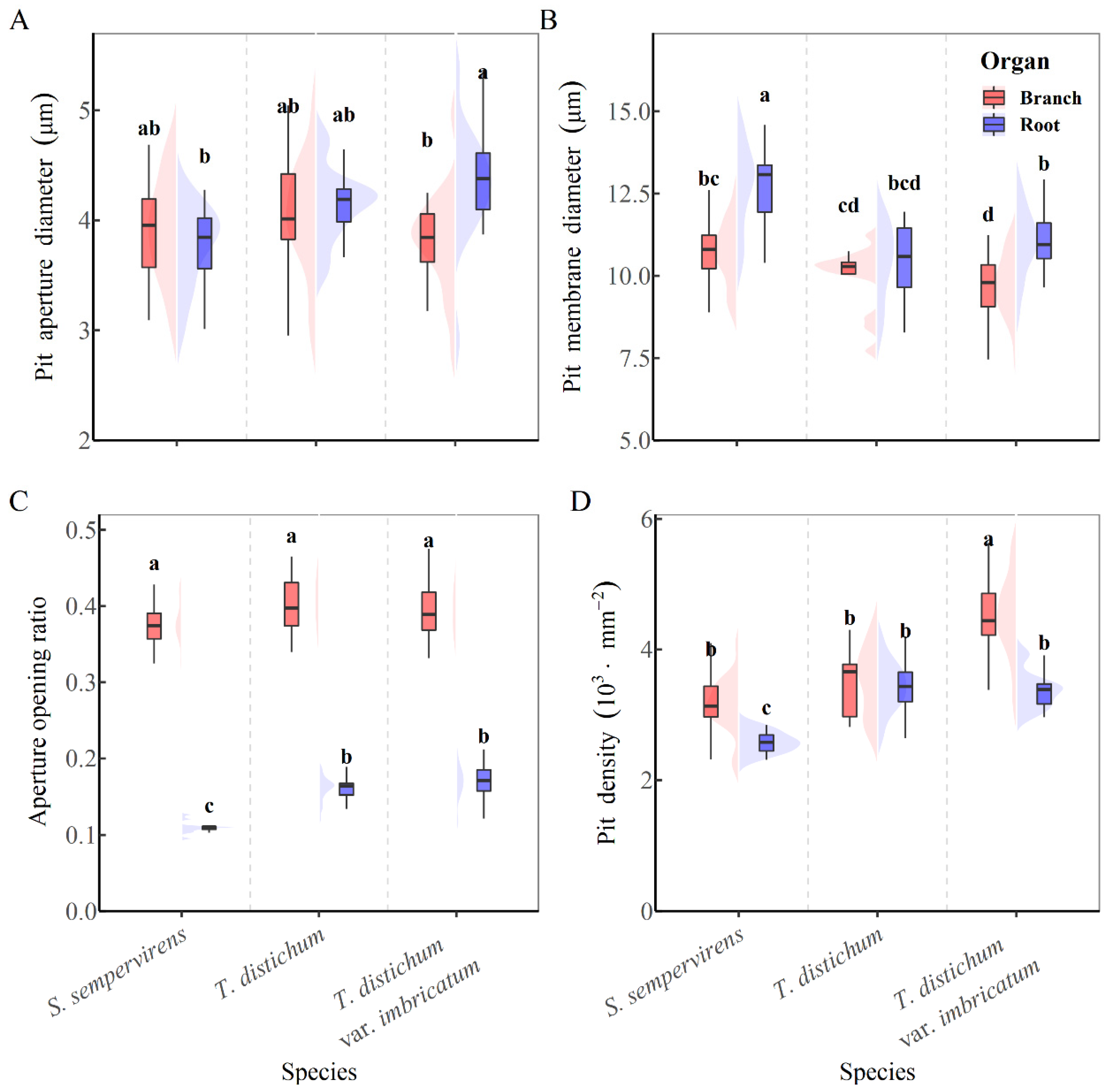Forests 13 01564 g004