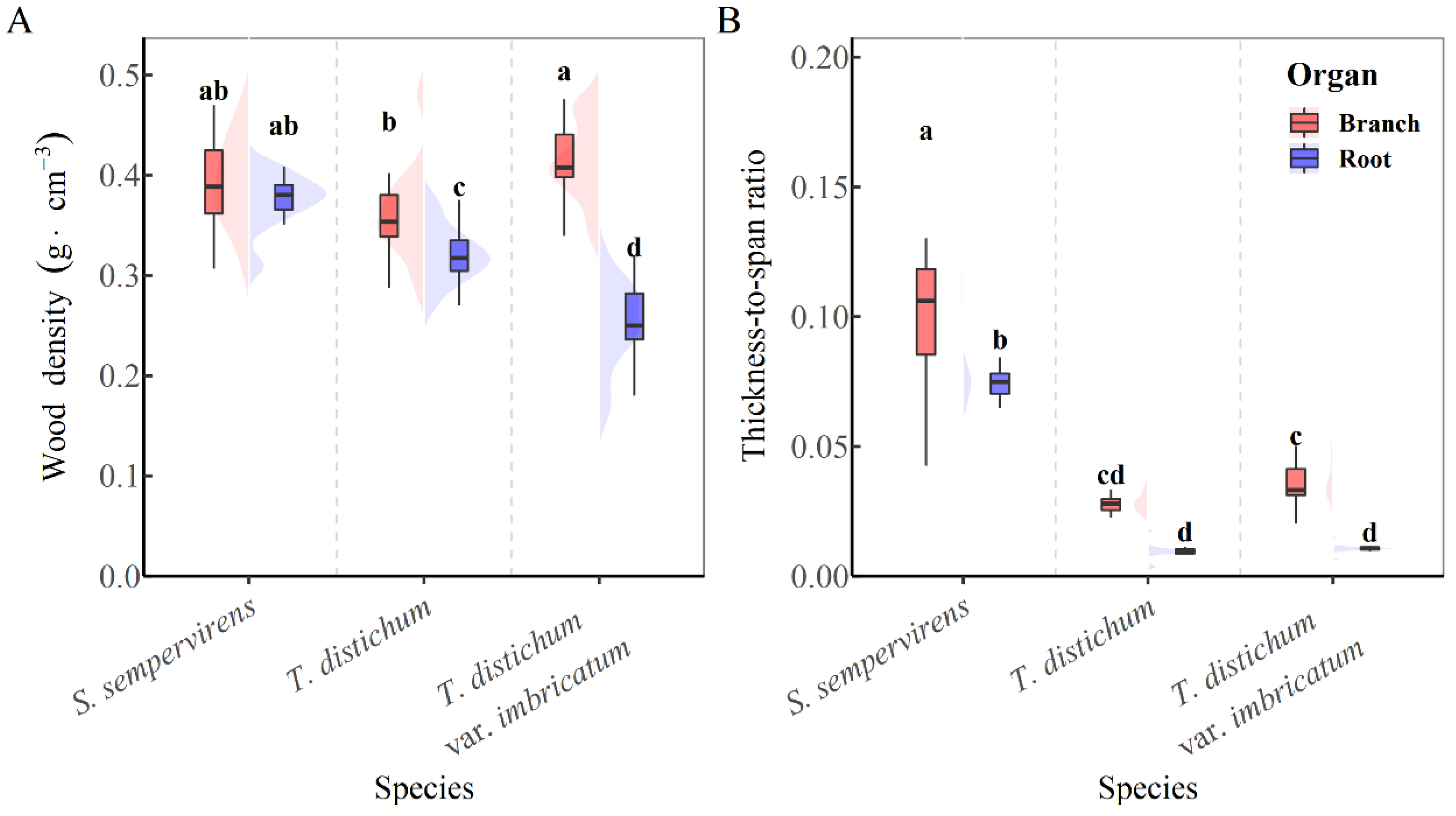 Forests 13 01564 g005