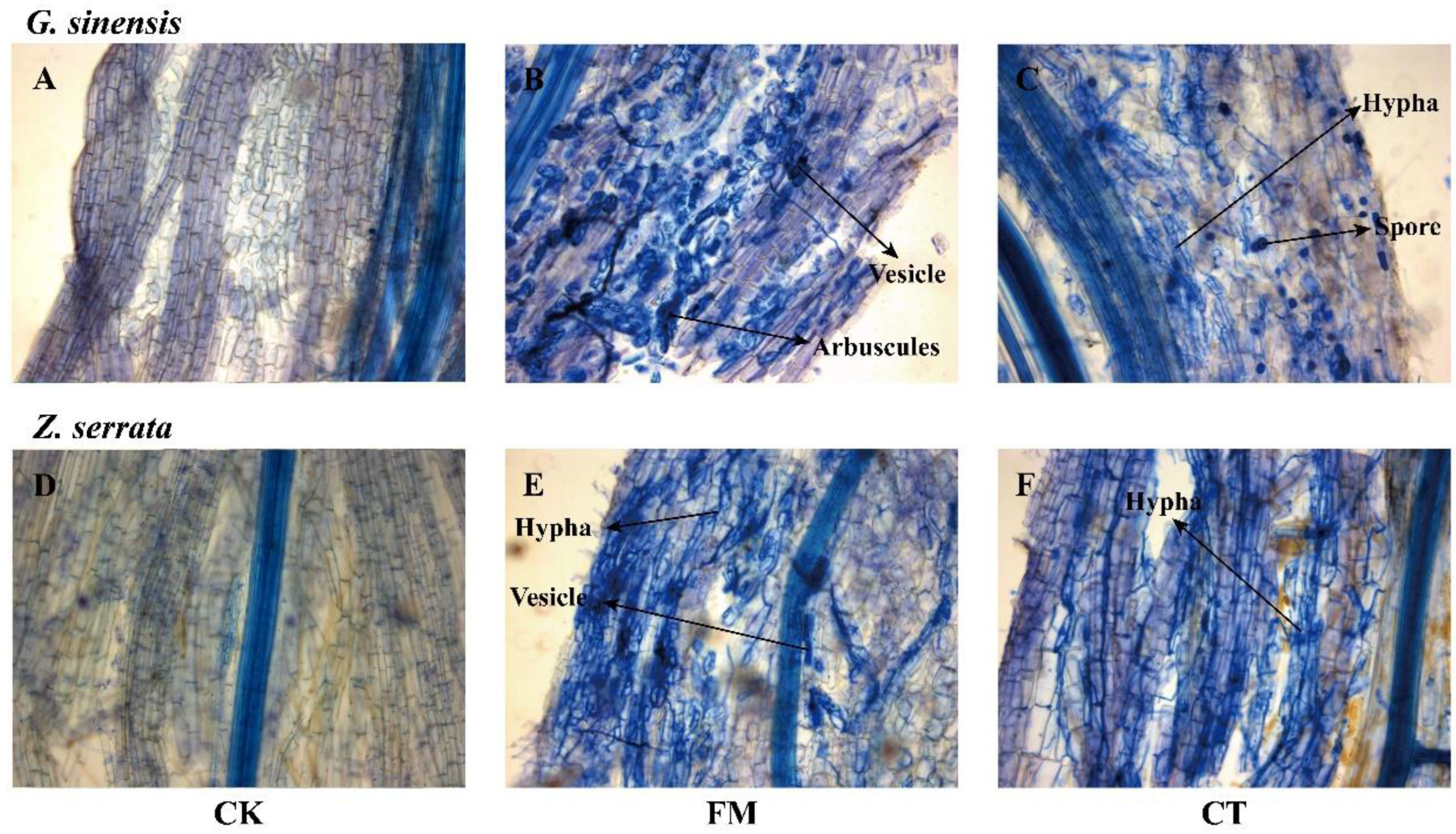 Forests 13 01568 g001 Forests 13 01568 g001