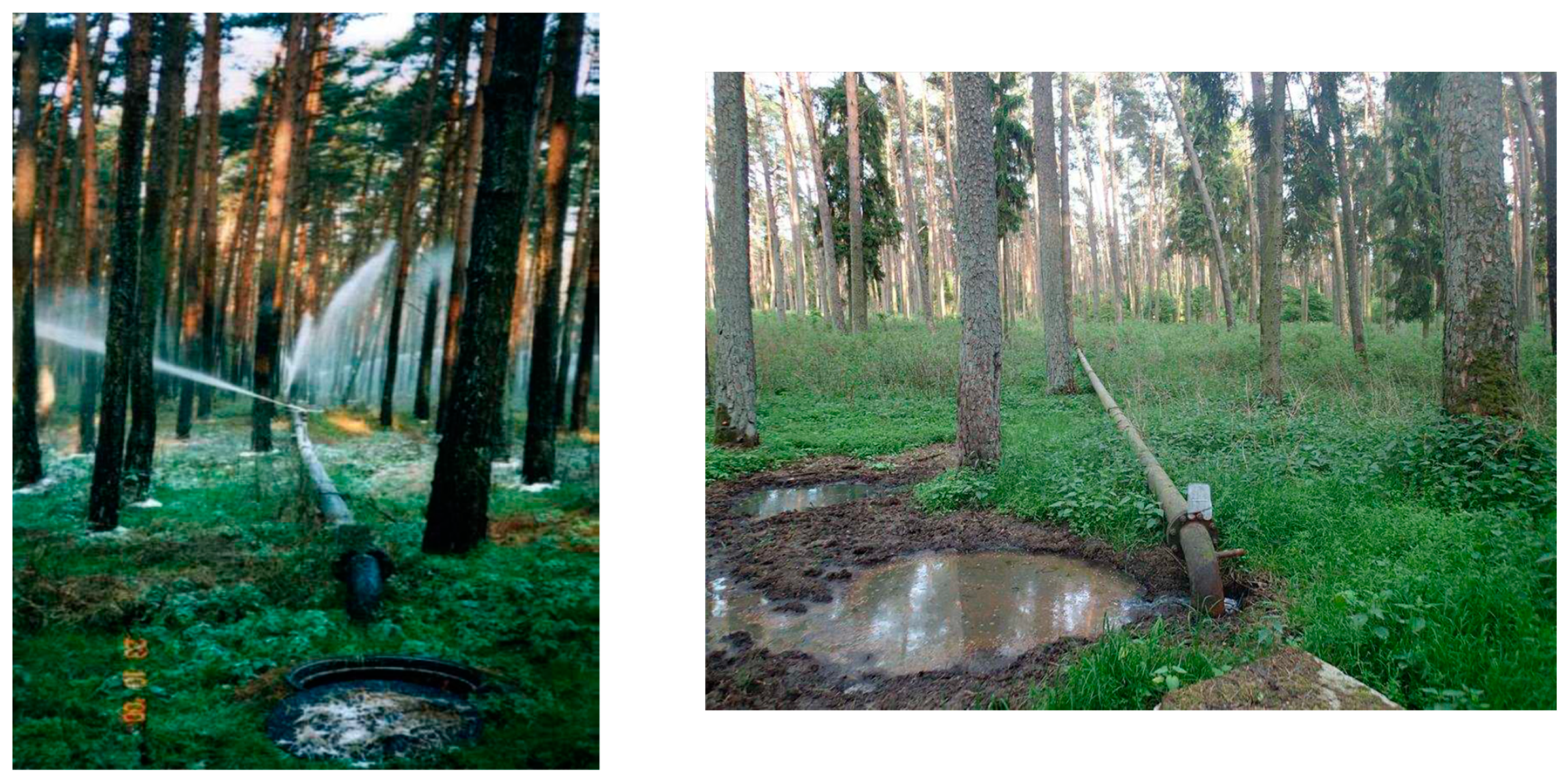 Forests 13 01575 g003 Forests 13 01575 g003