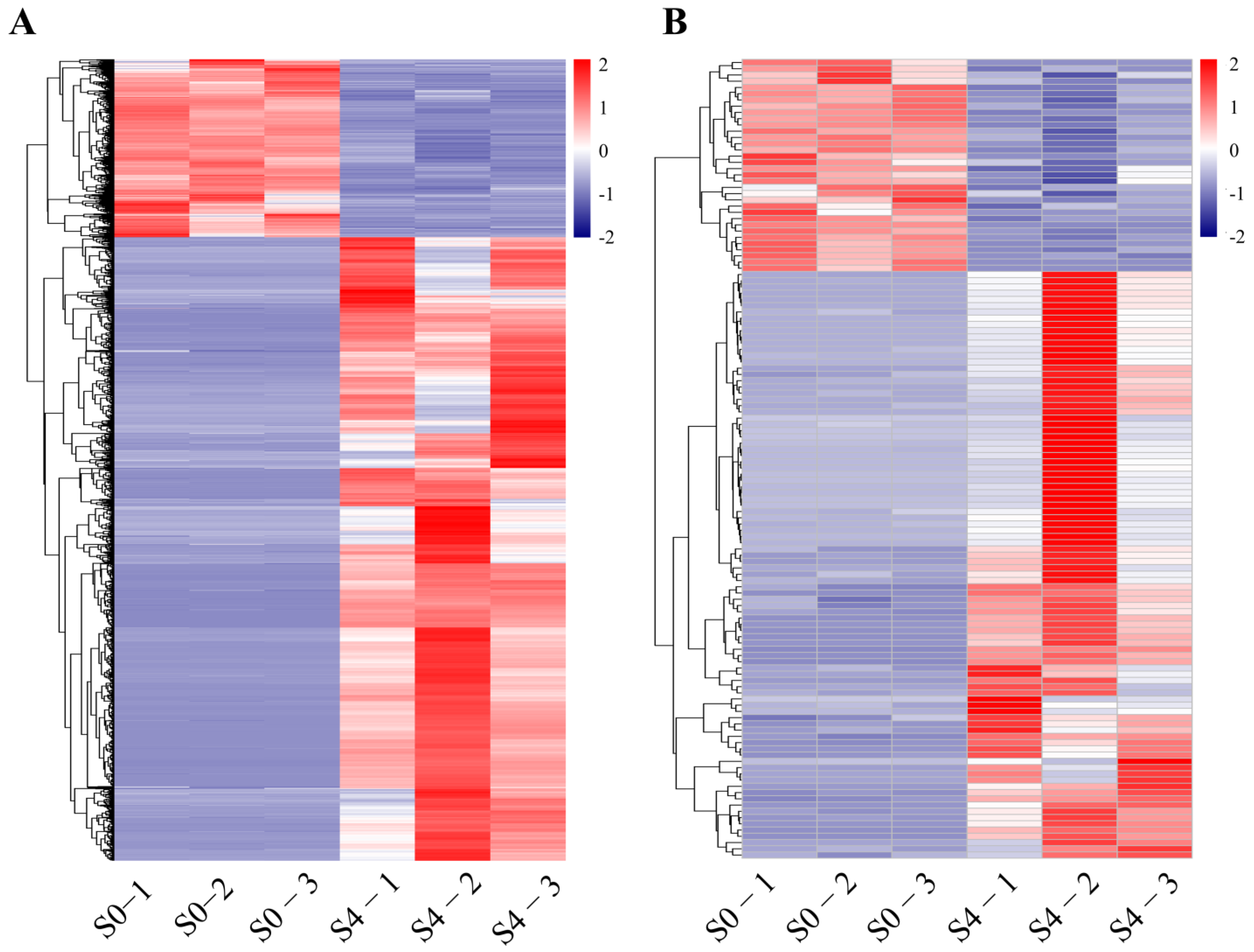 Forests 13 01579 g002