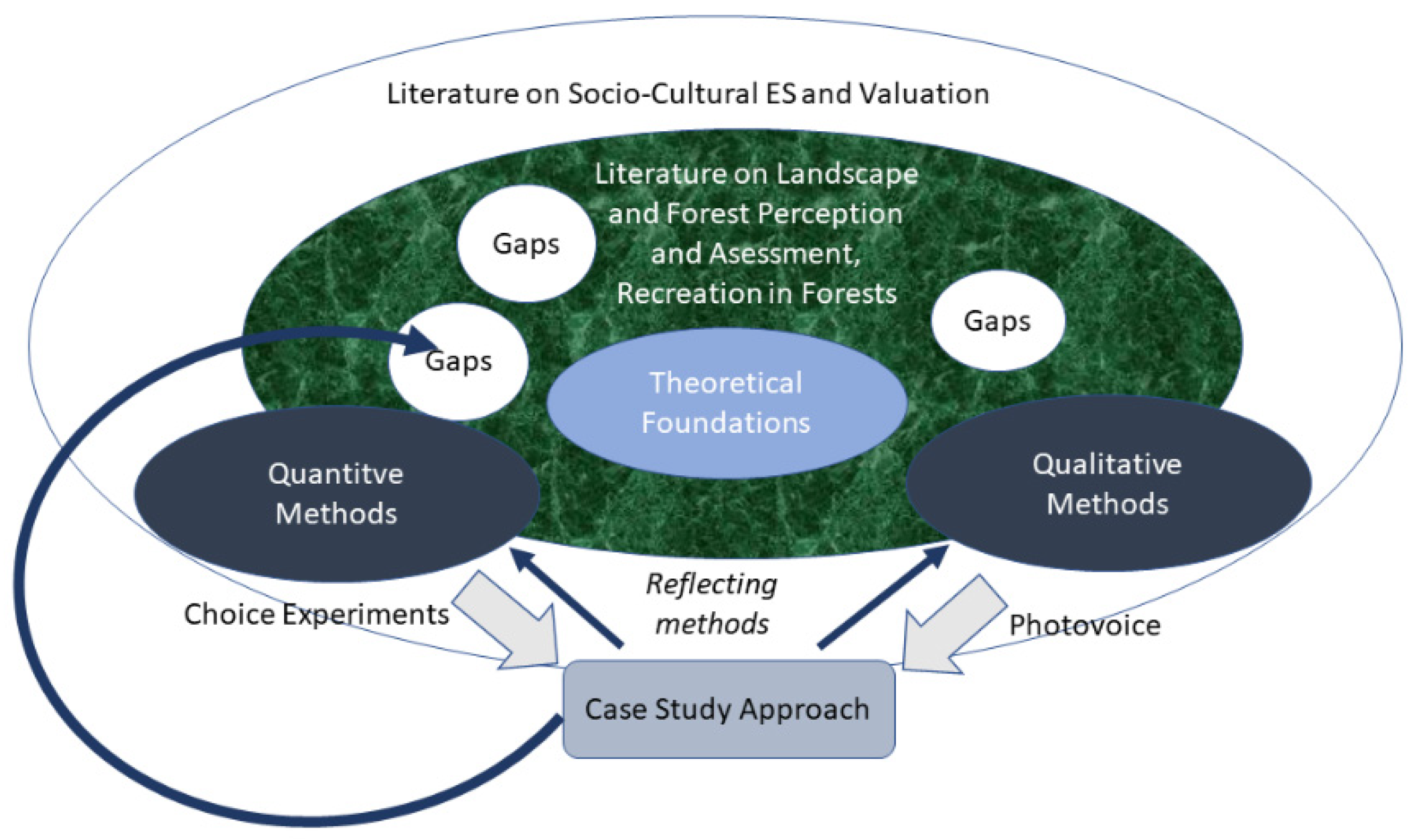 Forests 13 01584 g001 Forests 13 01584 g001