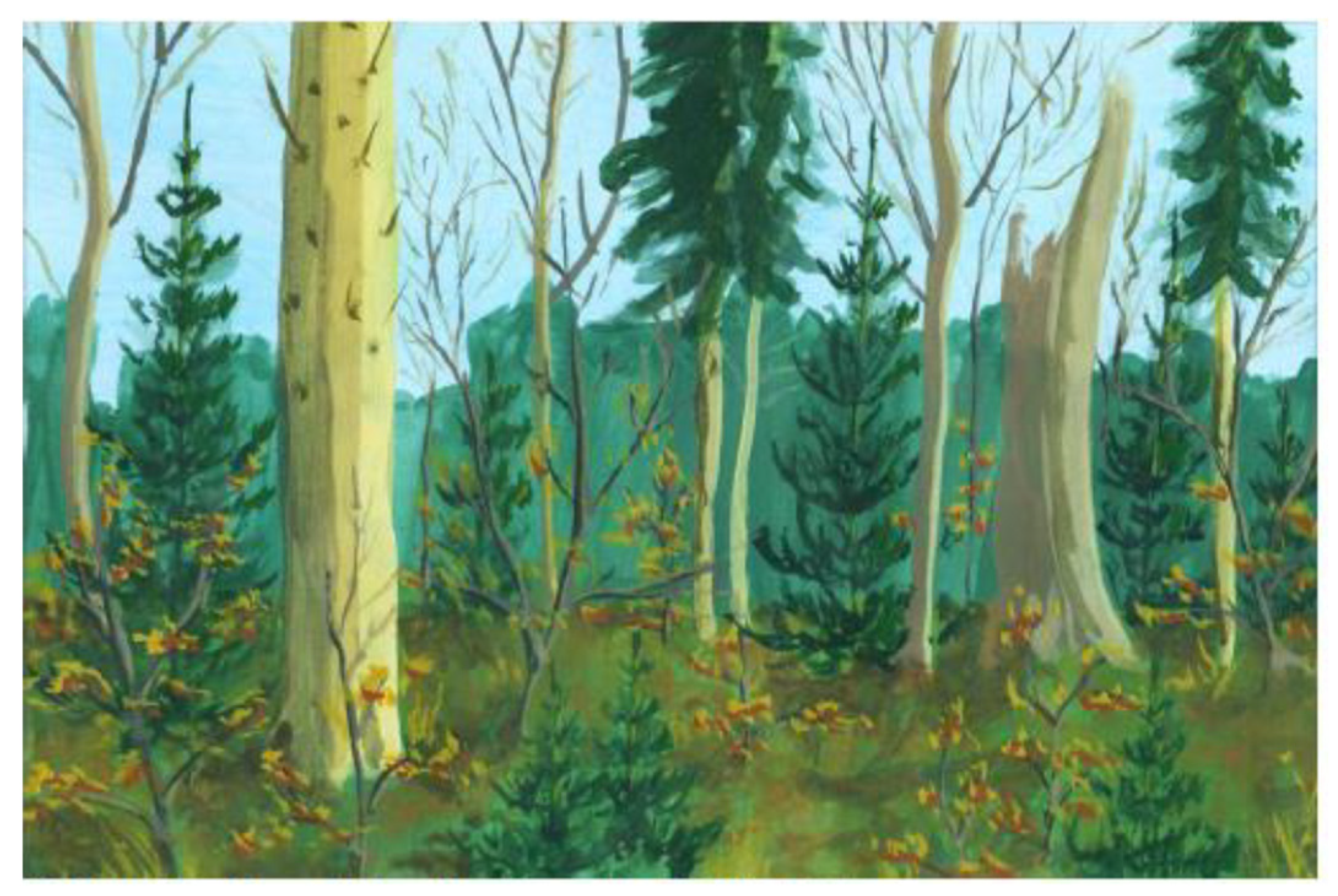 Forests 13 01584 g005 Forests 13 01584 g005