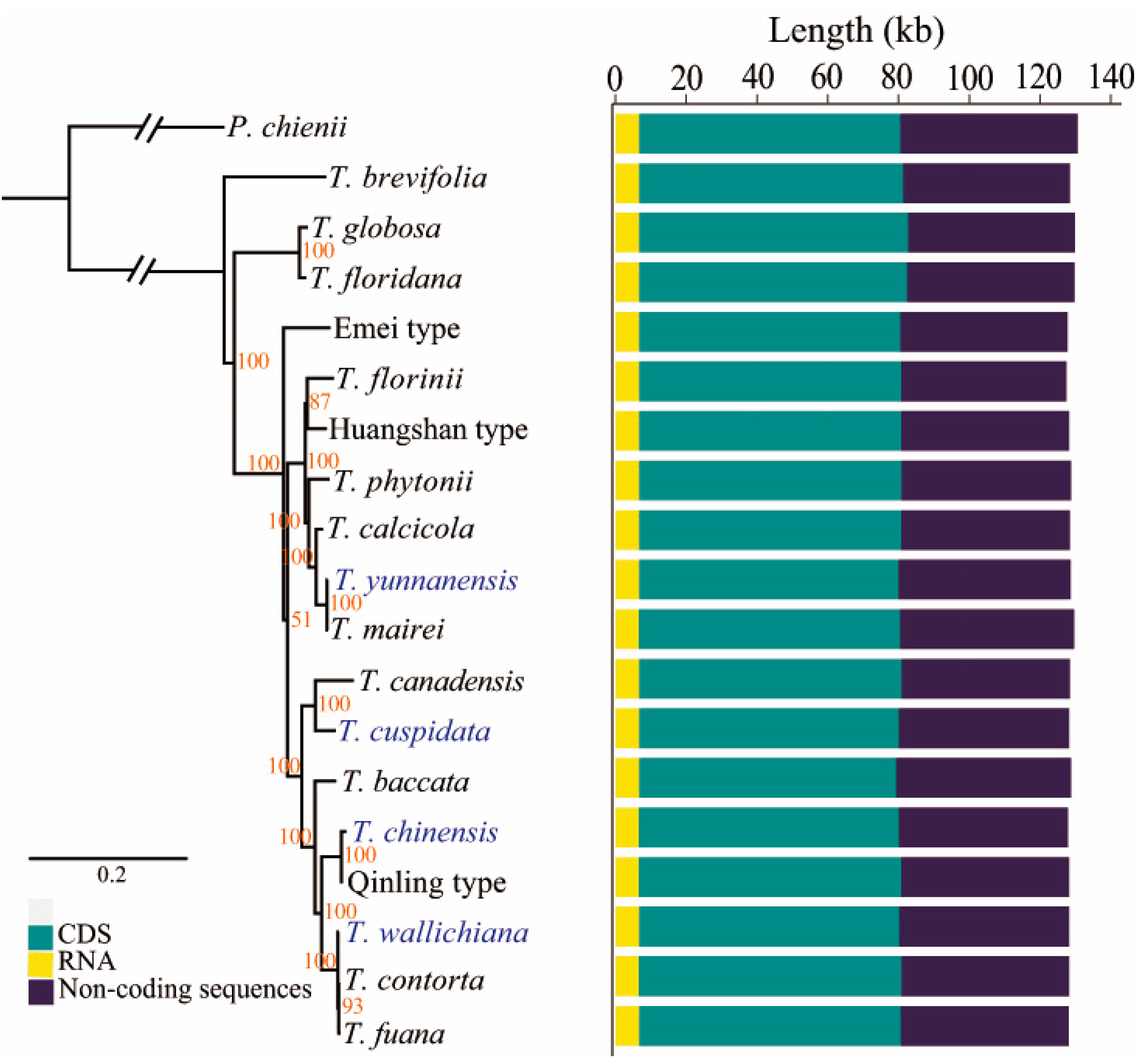 Forests 13 01590 g001