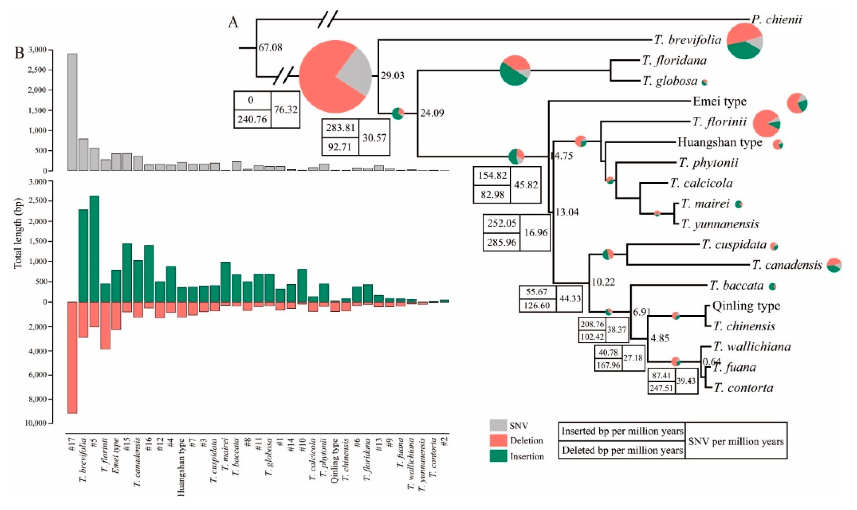Forests 13 01590 g003