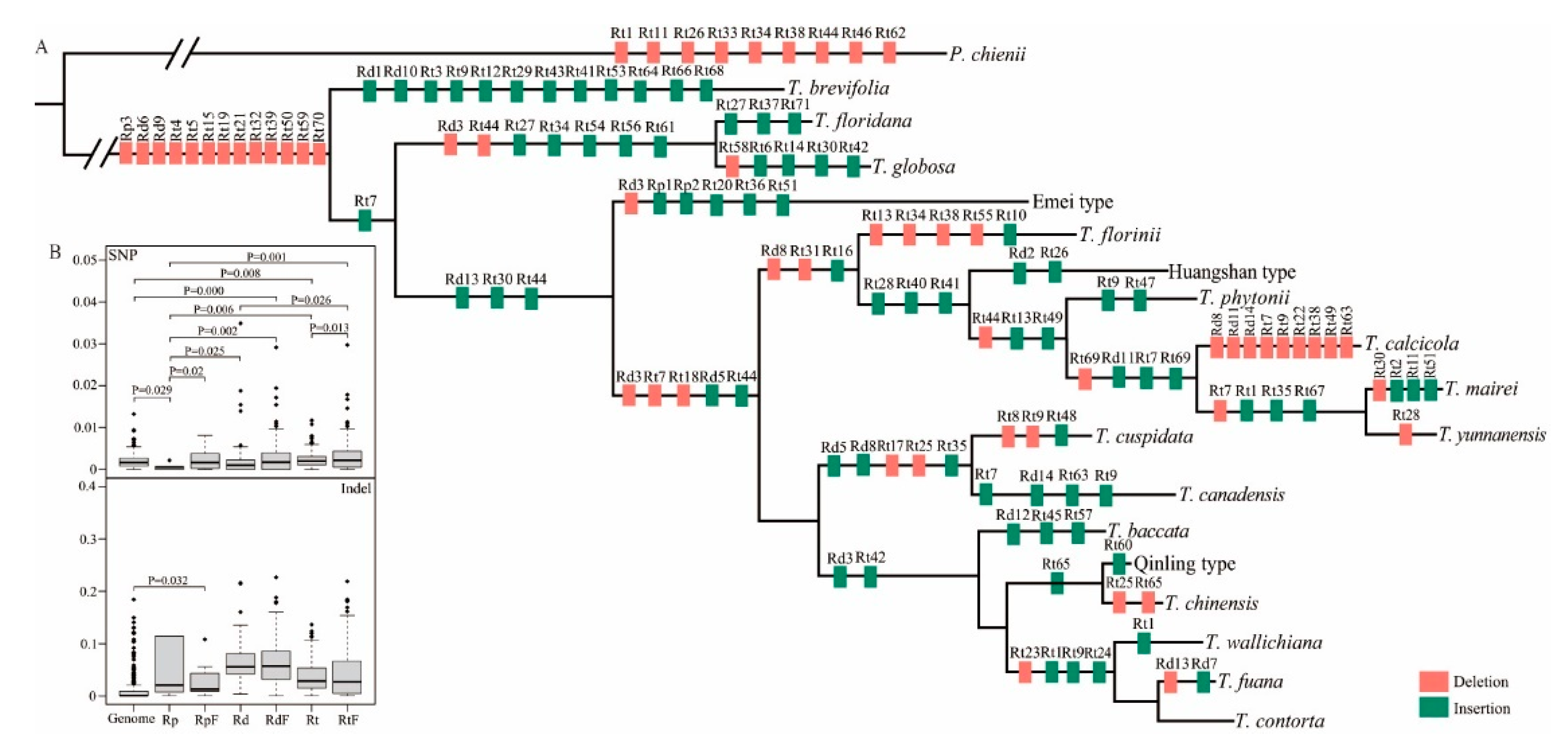 Forests 13 01590 g004