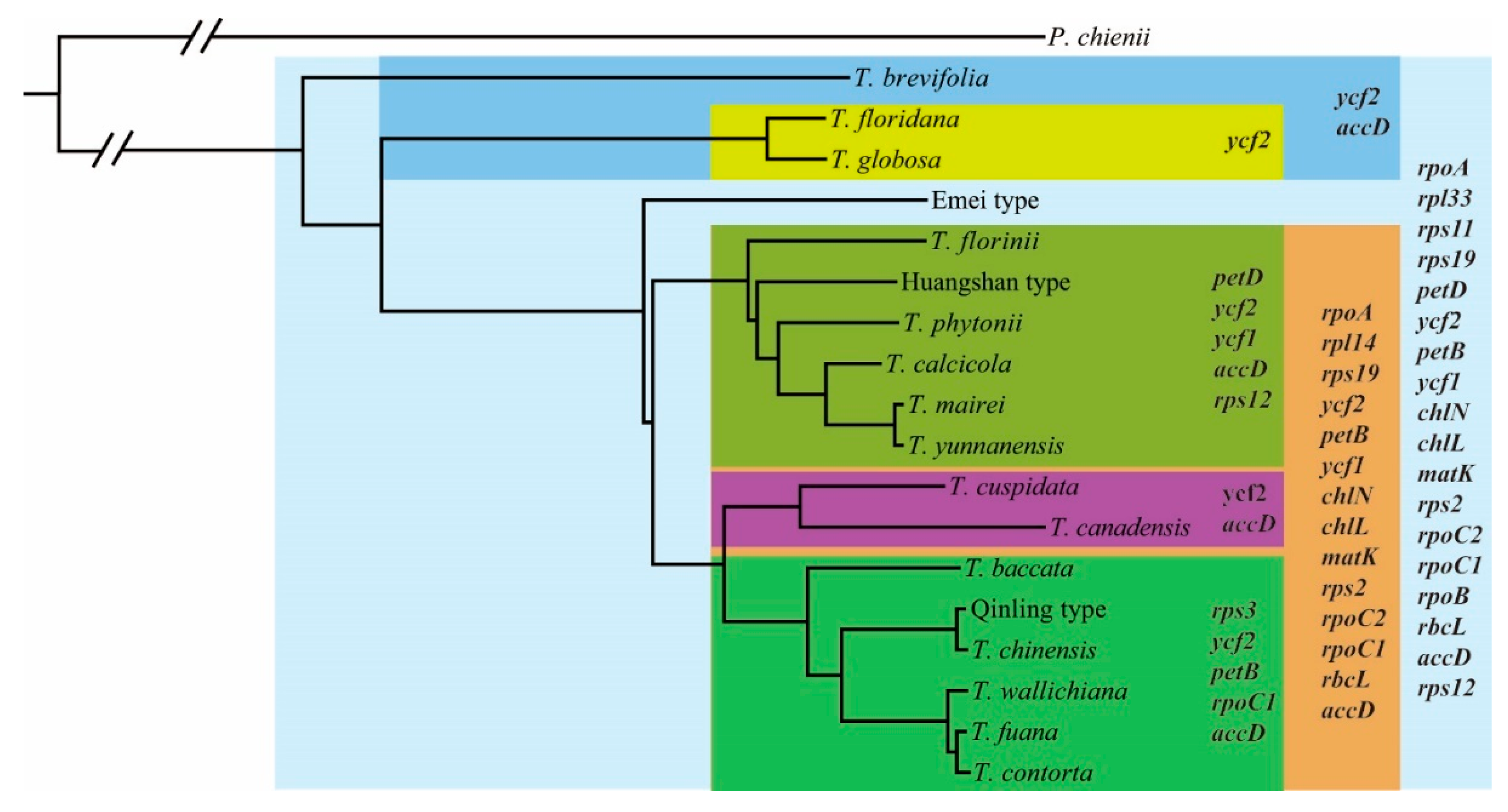 Forests 13 01590 g005