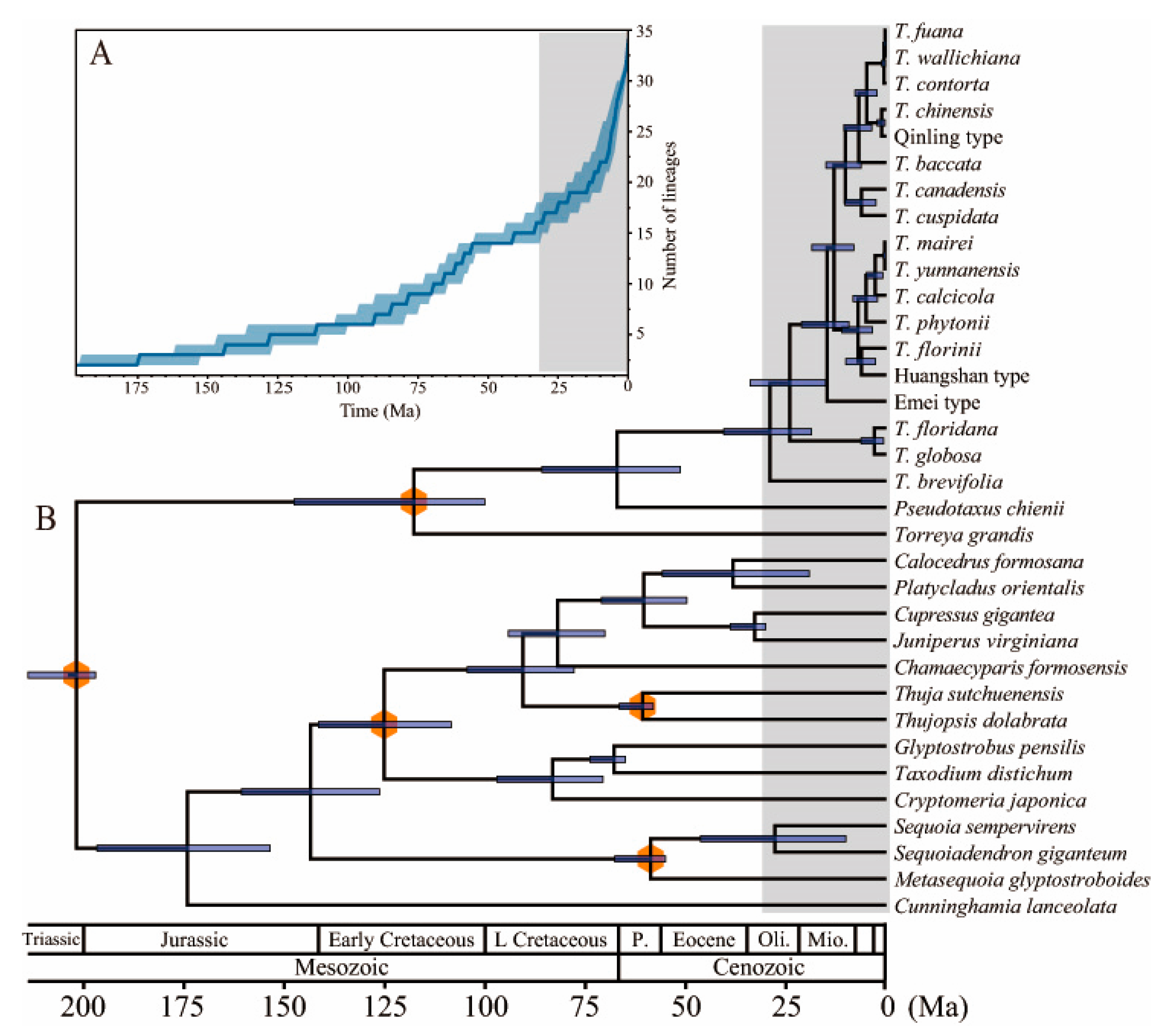 Forests 13 01590 g006