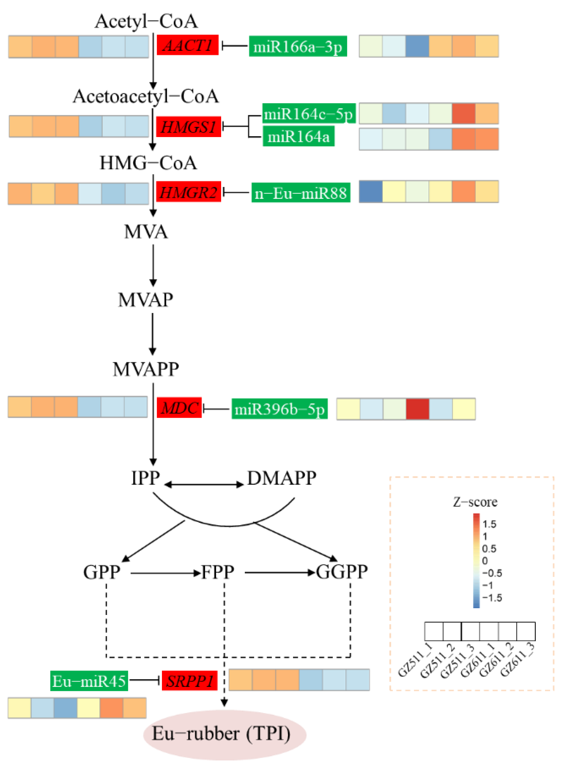 Forests 13 01601 g005