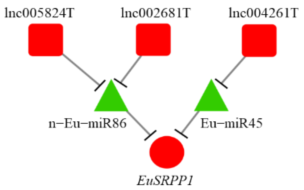Forests 13 01601 g007