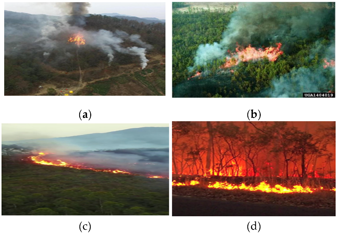 Forests 13 01603 g001