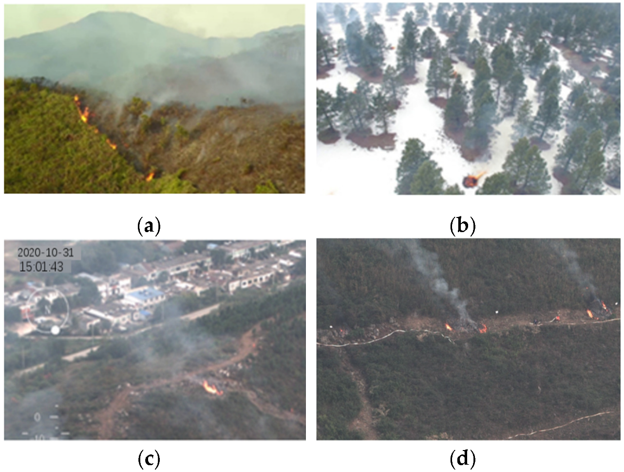 Forests 13 01603 g002