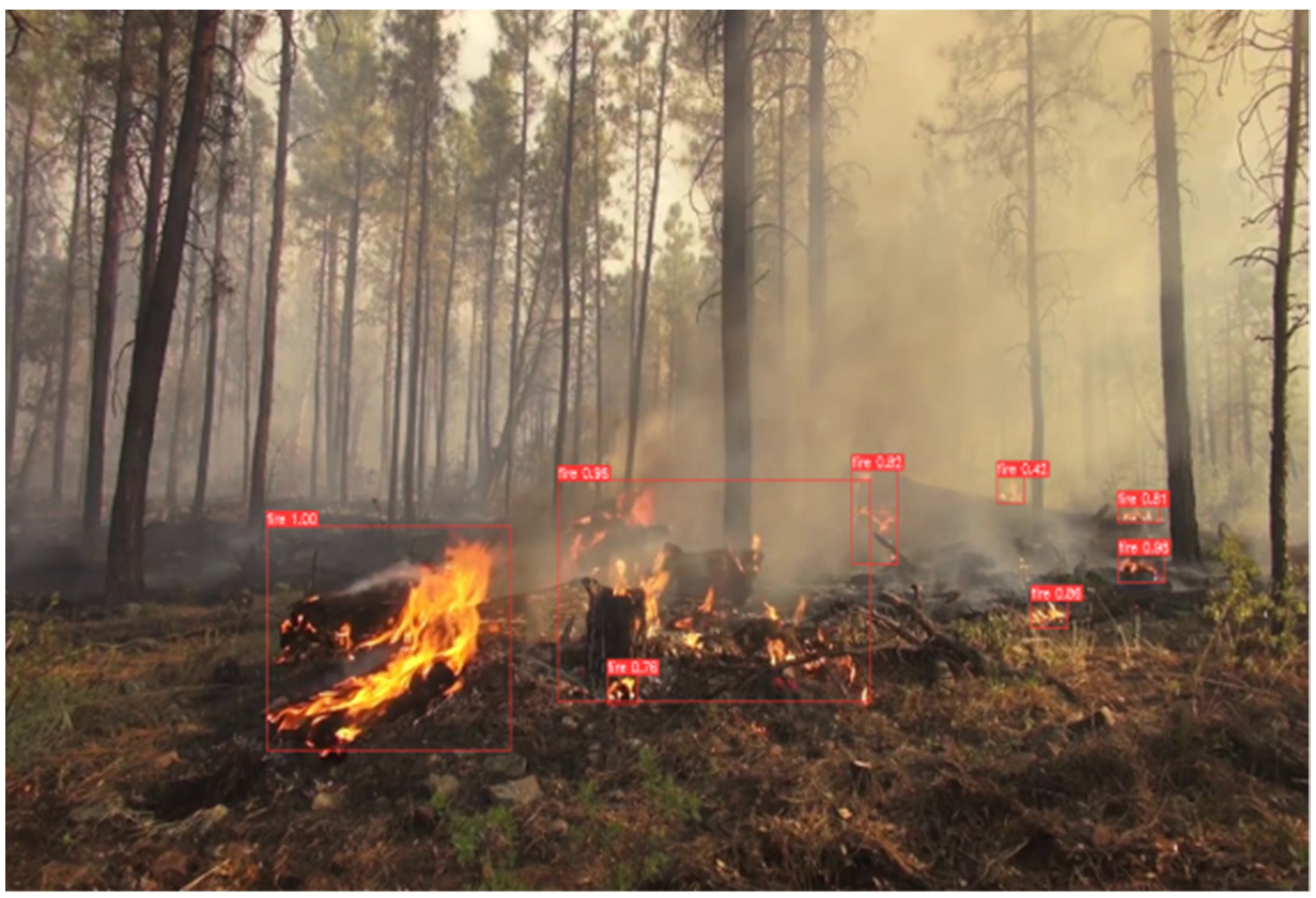 Forests 13 01603 g011