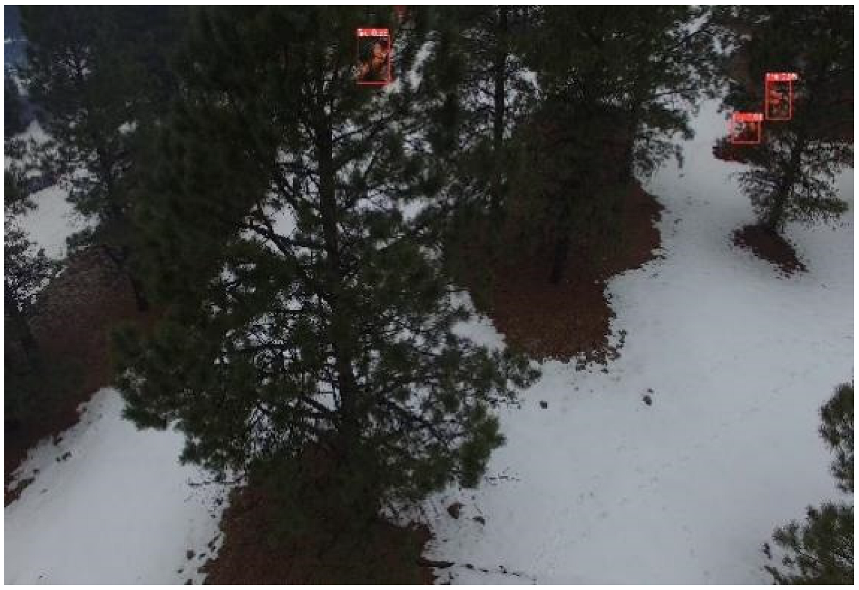 Forests 13 01603 g012