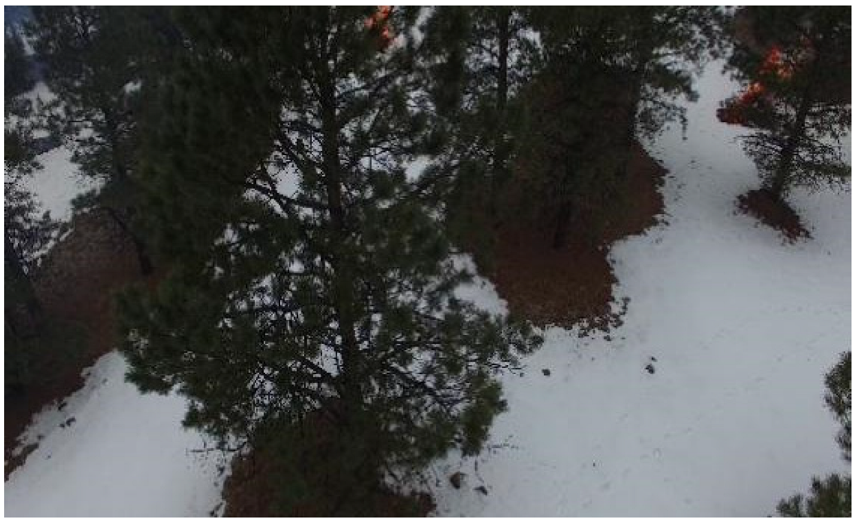 Forests 13 01603 g013