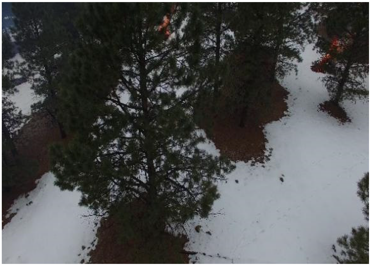 Forests 13 01603 g014