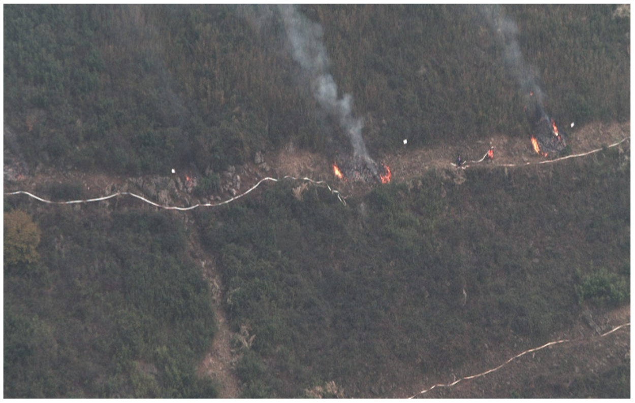 Forests 13 01603 g015