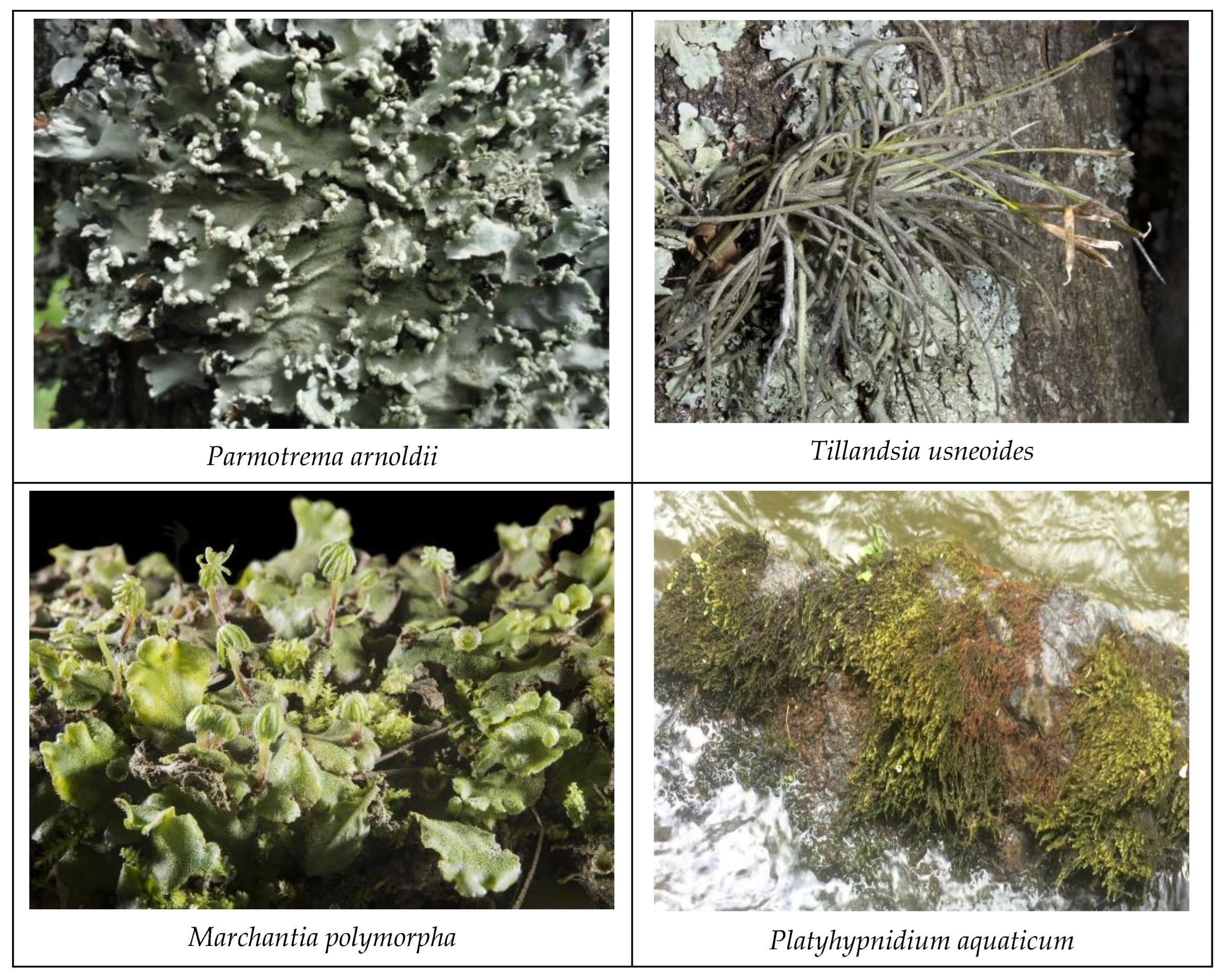 Forests 13 01607 g002