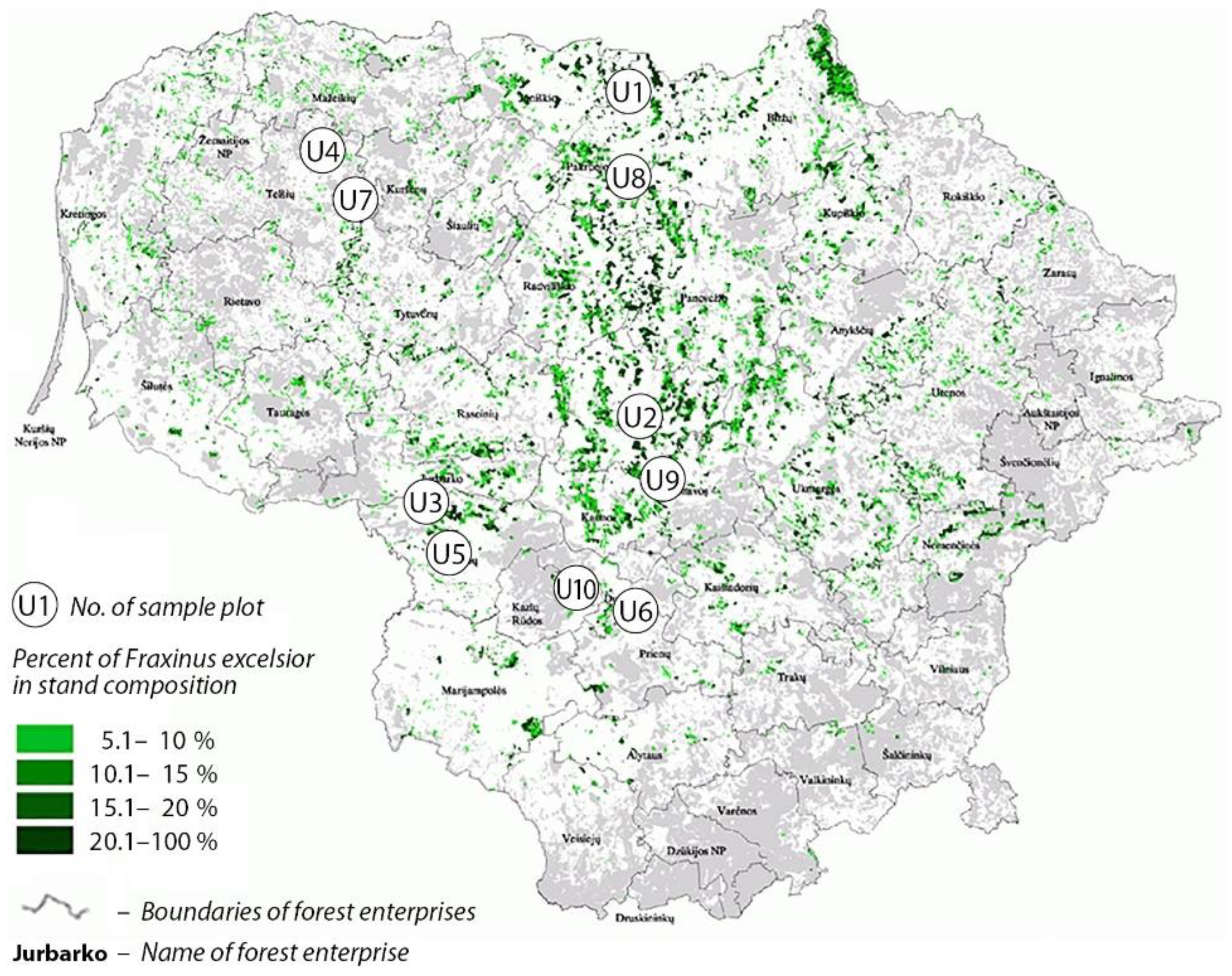 Forests 13 01609 g001
