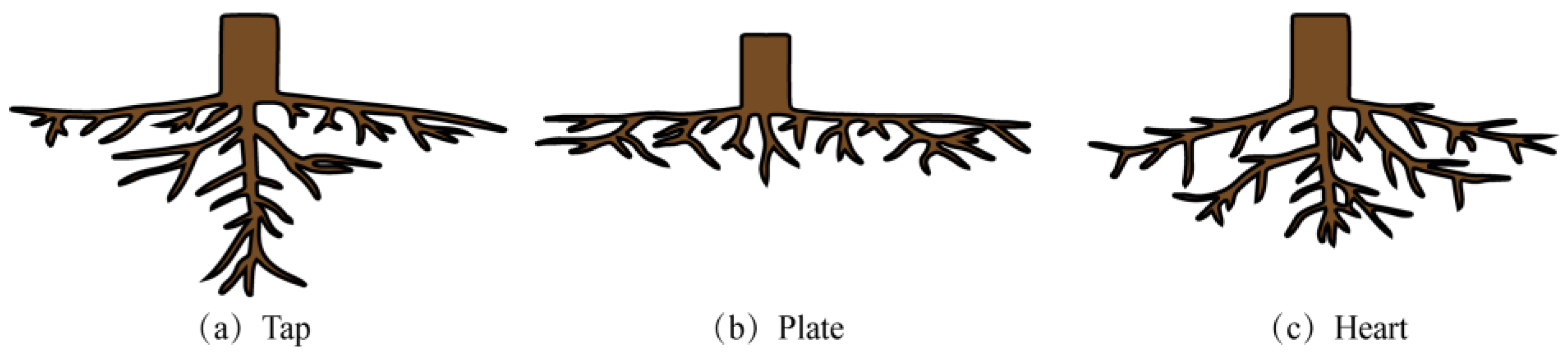 Forests 13 01610 g002