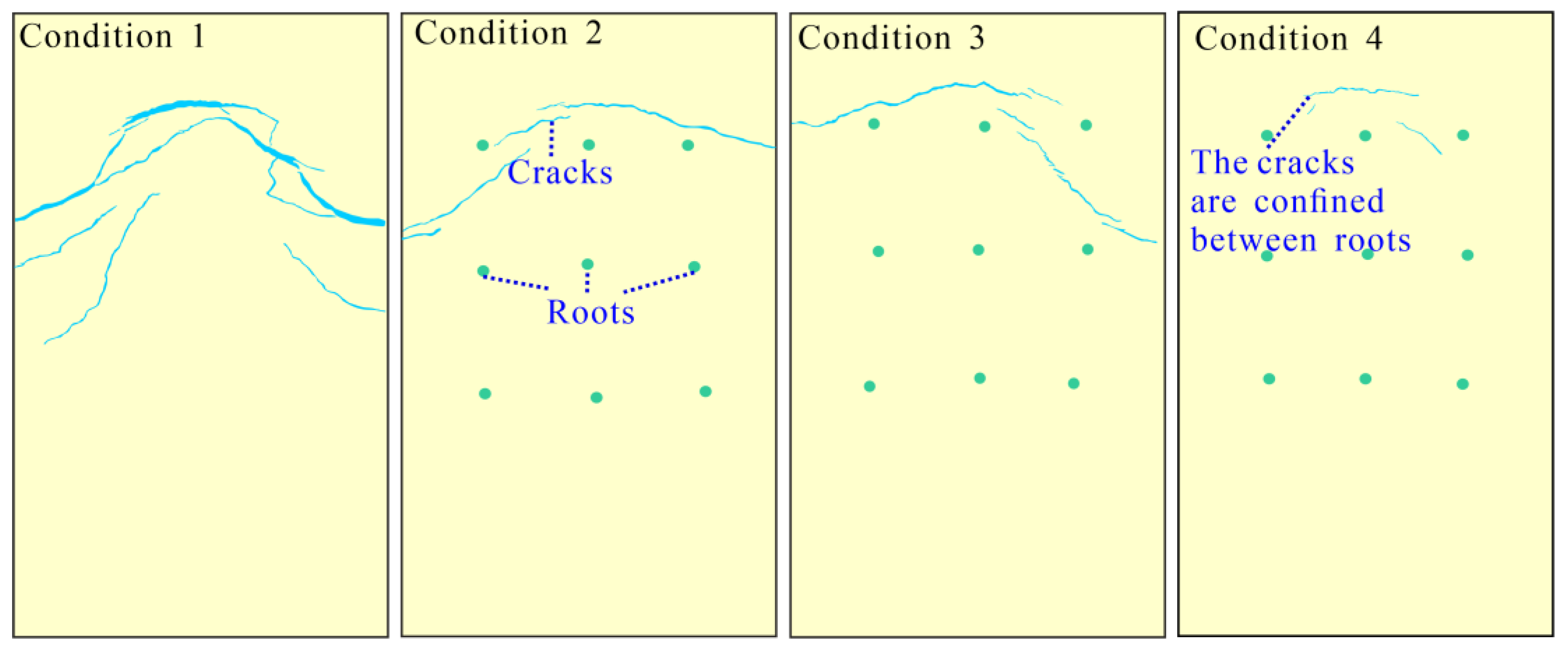 Forests 13 01610 g013