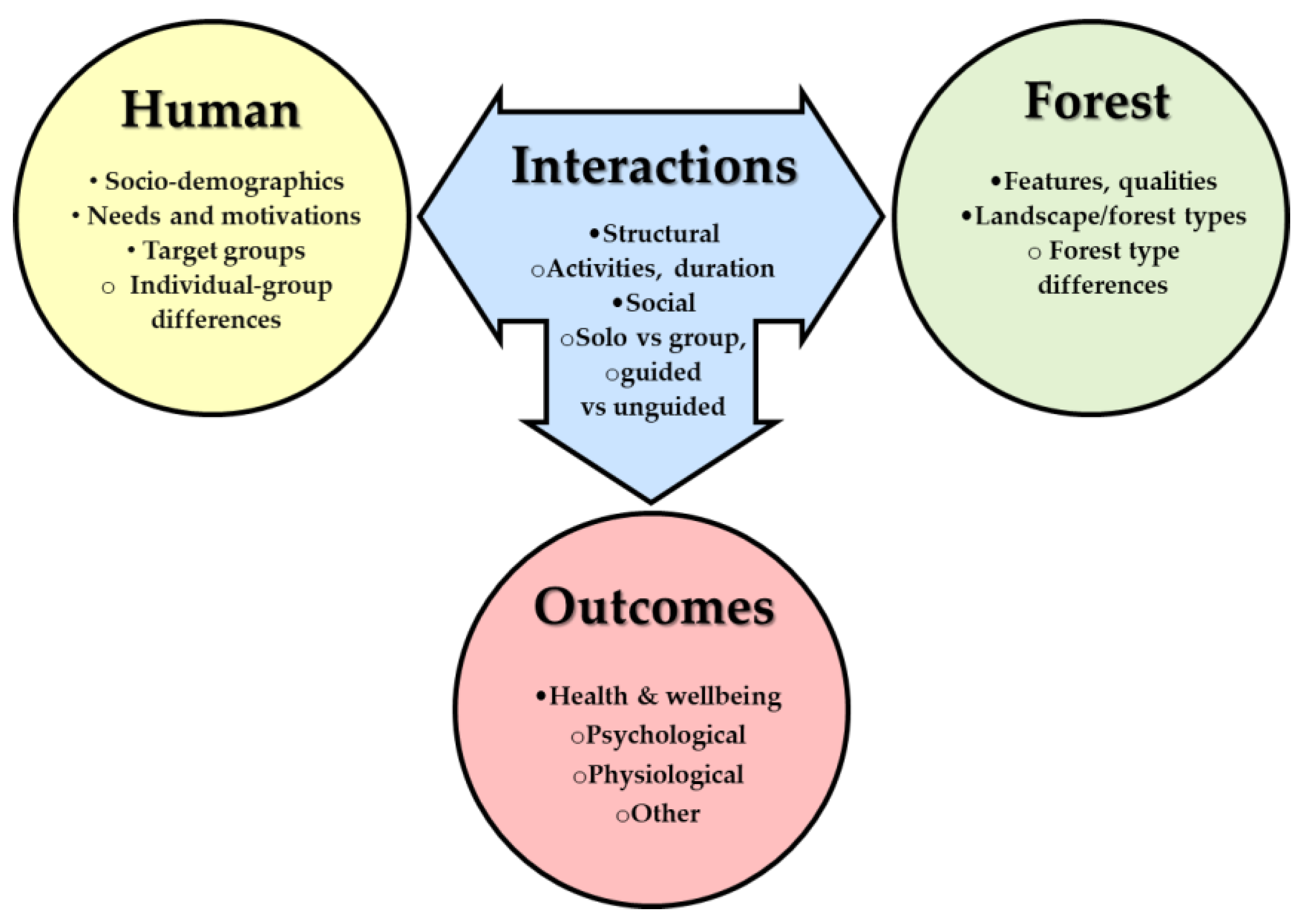 Forests 13 01613 g001