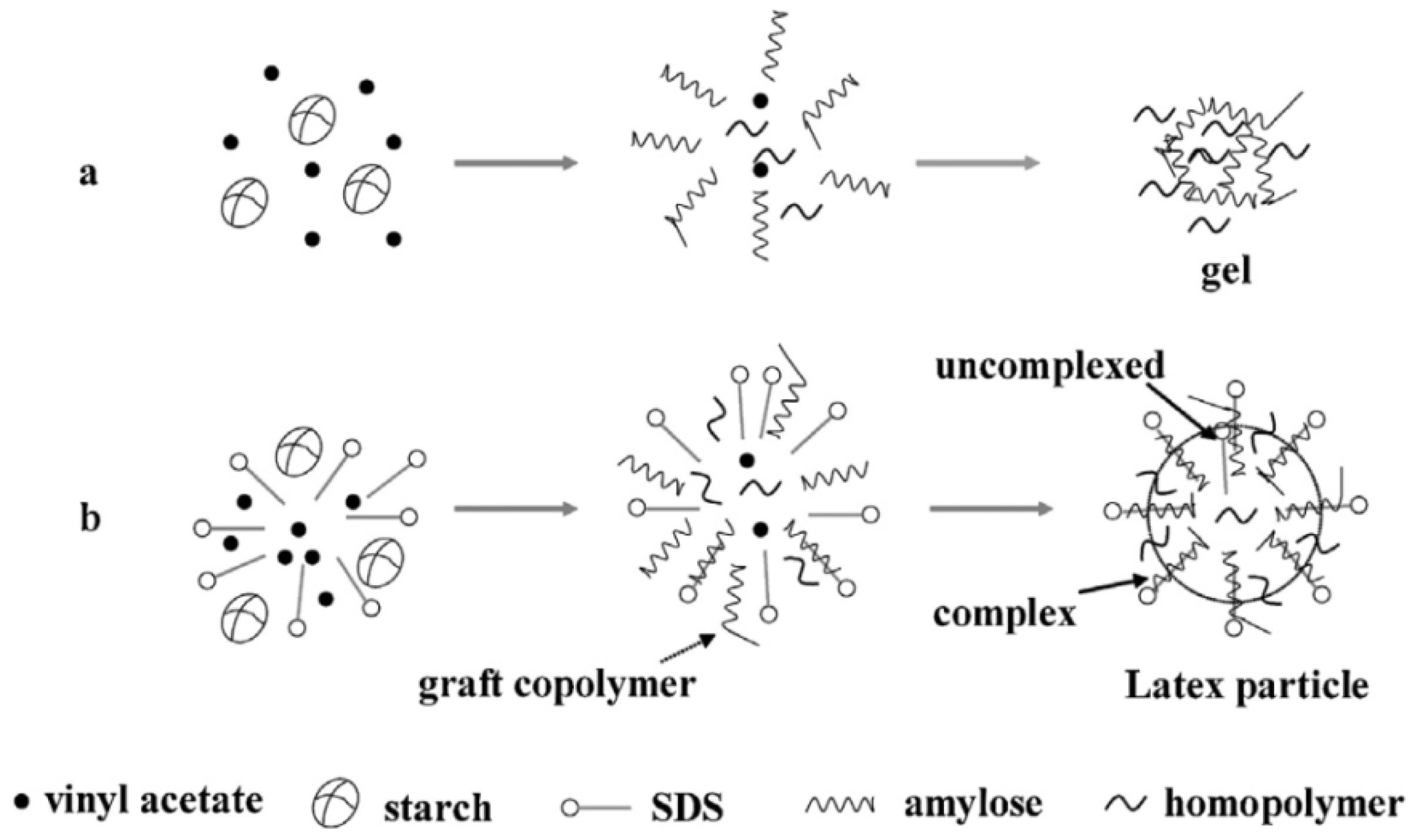 Forests 13 01614 g004 Forests 13 01614 g004