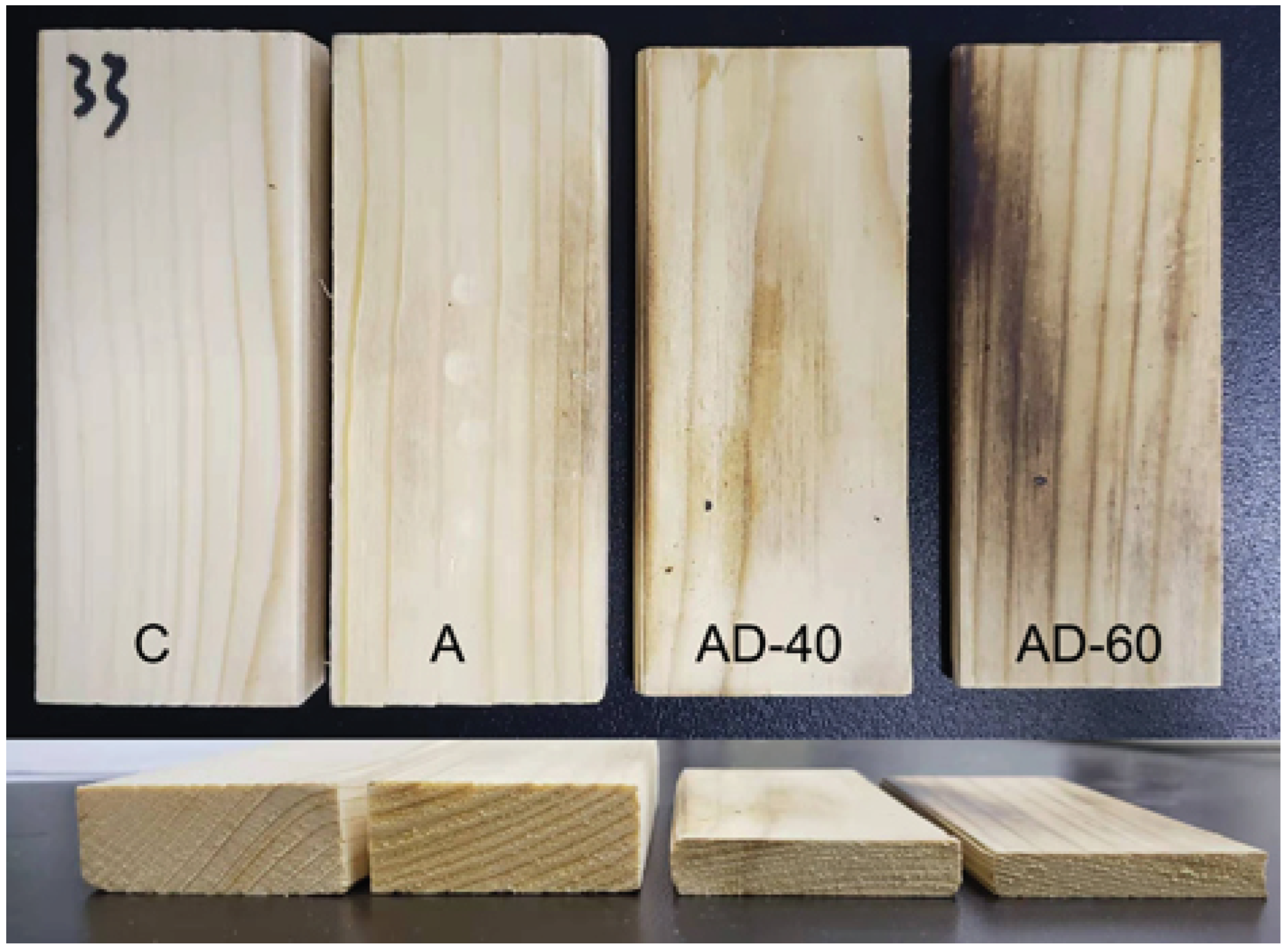 Forests 13 01620 g001